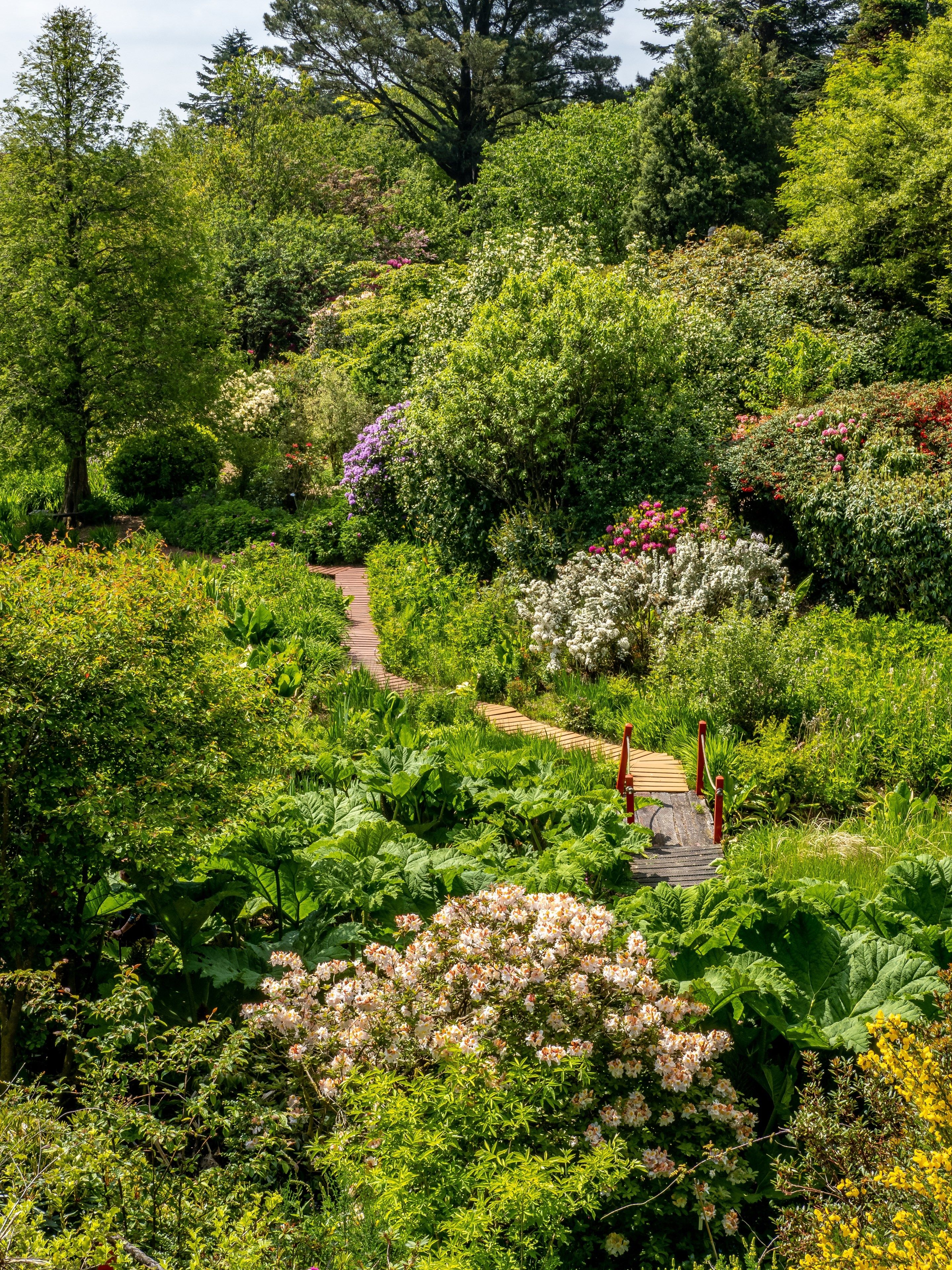 tourhub | Brightwater Holidays | Scotland: The Best Rhododendron Gardens in the World? 5190 