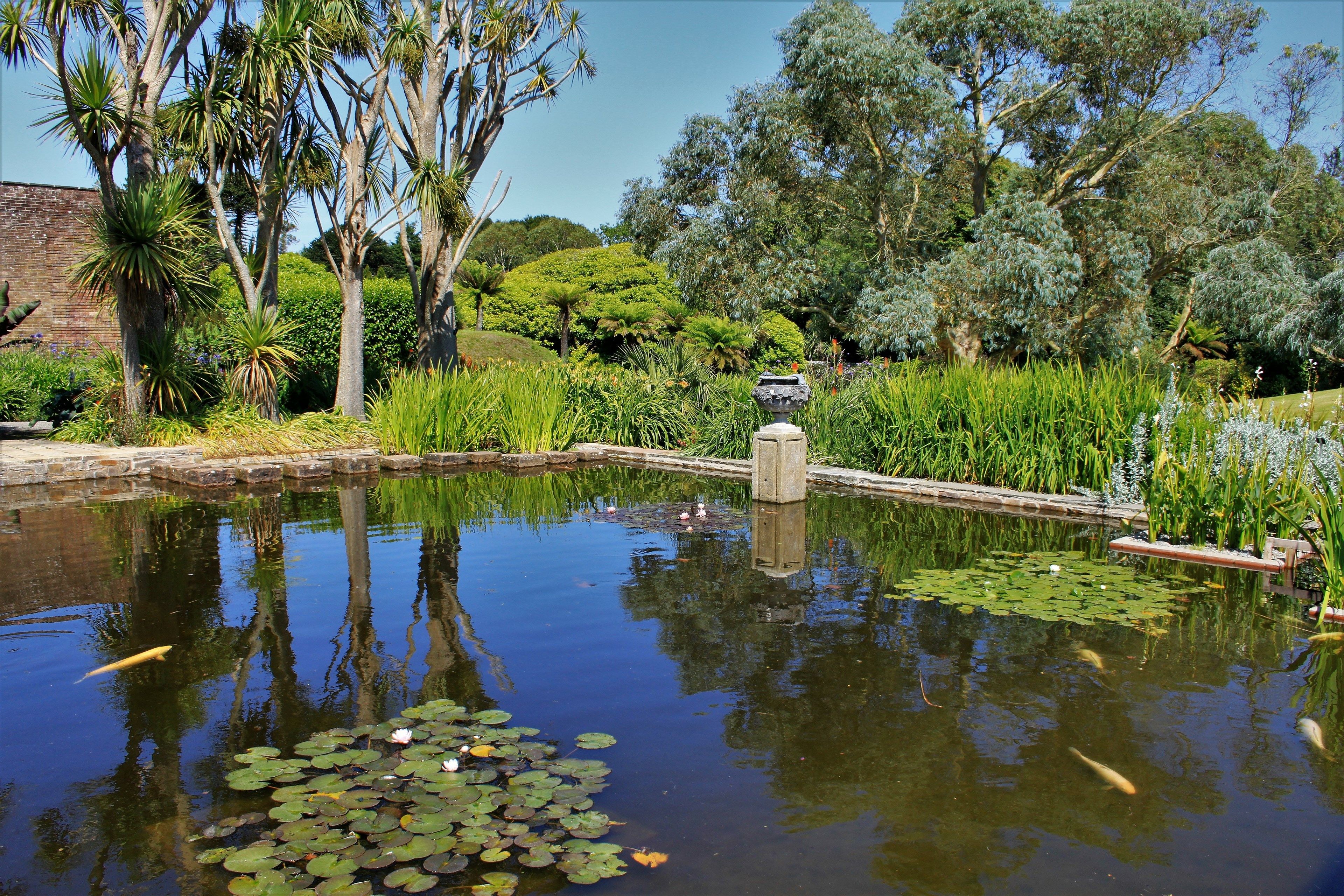 tourhub | Brightwater Holidays | Scotland: The Best Rhododendron Gardens in the World? 5190 