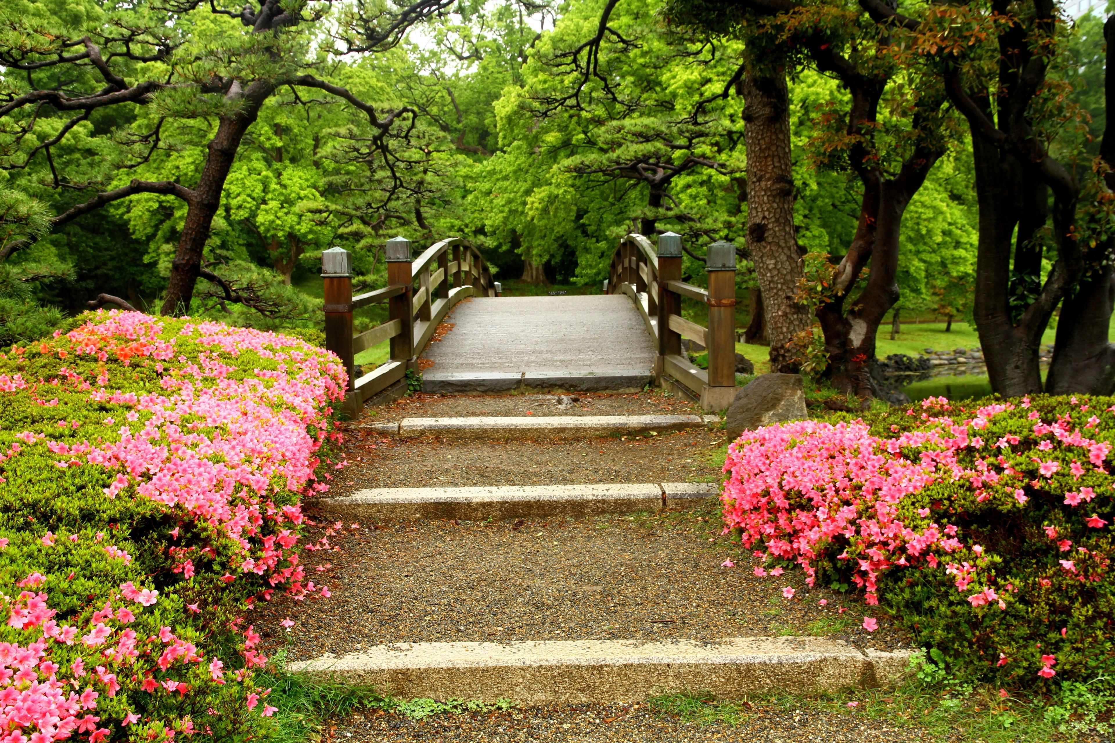 tourhub | Brightwater Holidays | Seasonal Gardens of Japan 665 