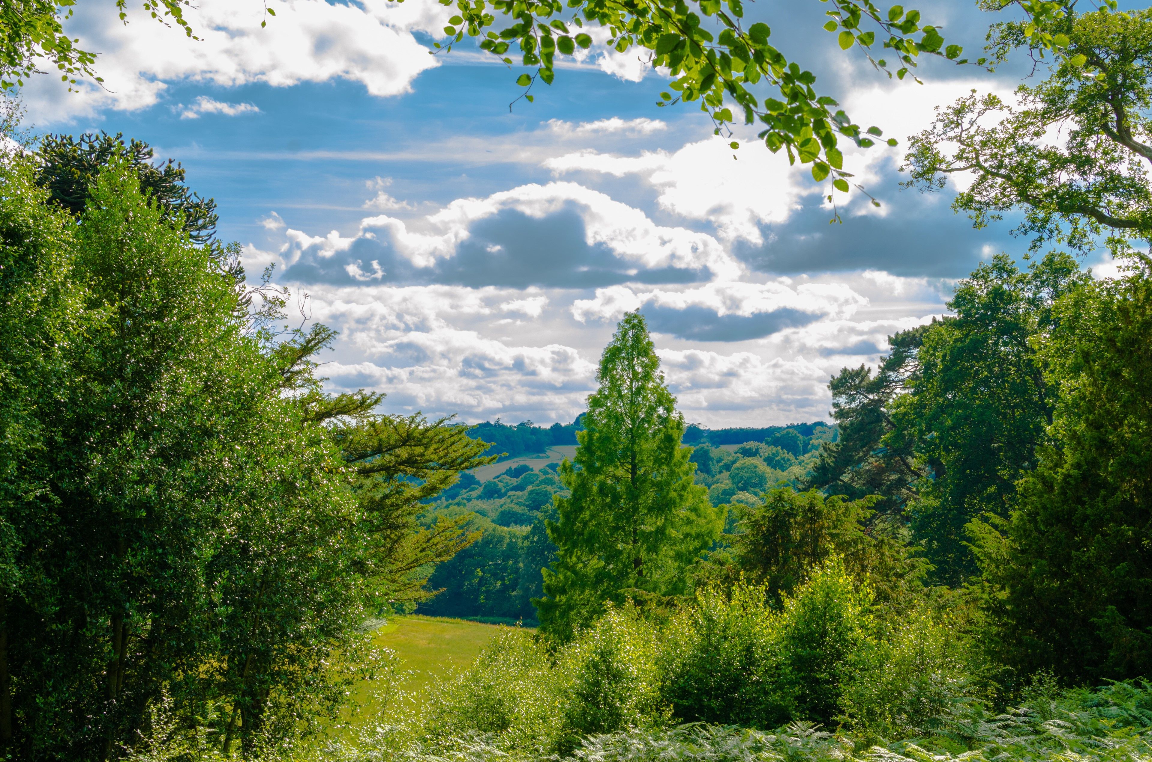 Botanic gardens and woods at Wakehurst Place