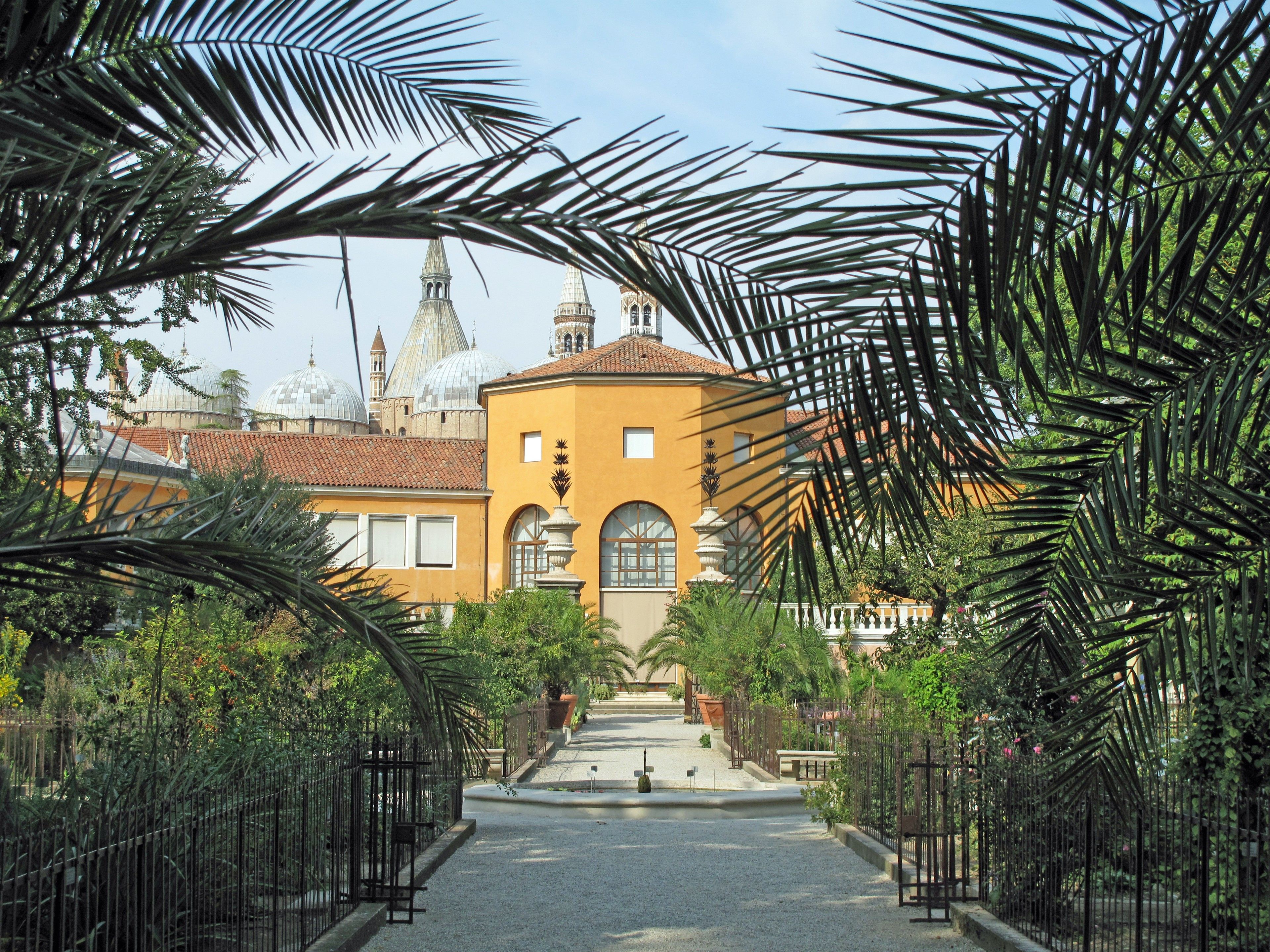 botanical-garden-in-padua-veneto-17433977