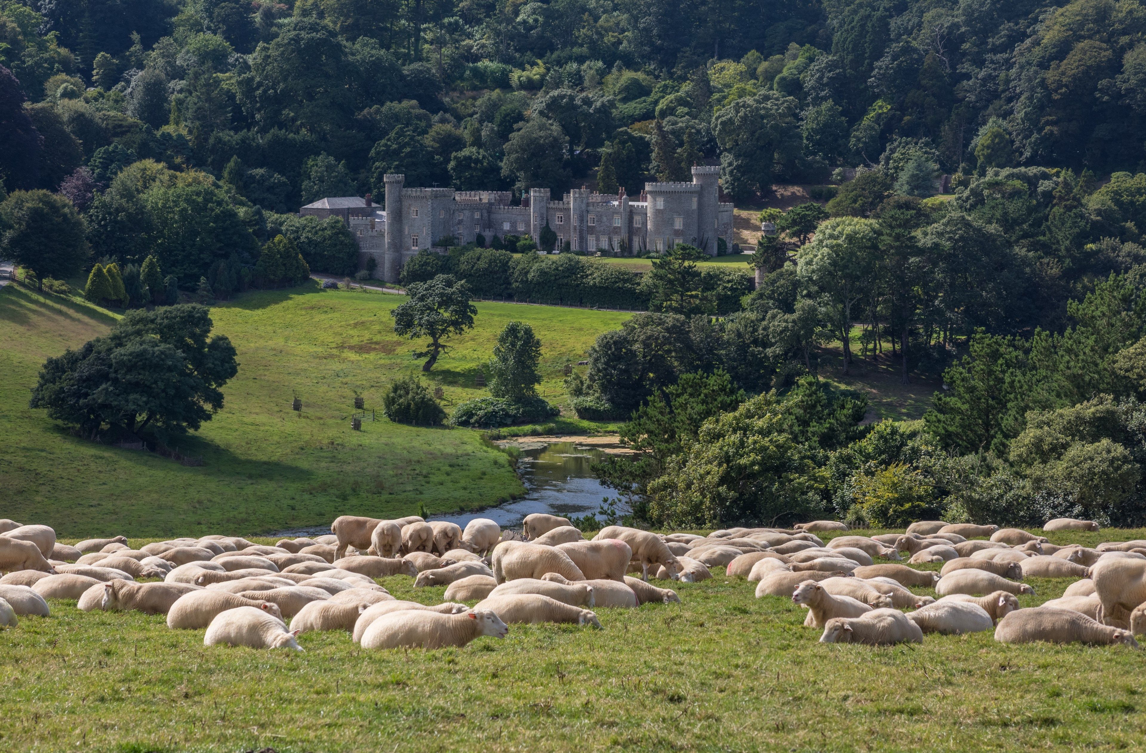 tourhub | Brightwater Holidays | England: Great Gardens of Cornwall in the company of Mike Nelhams 1110 