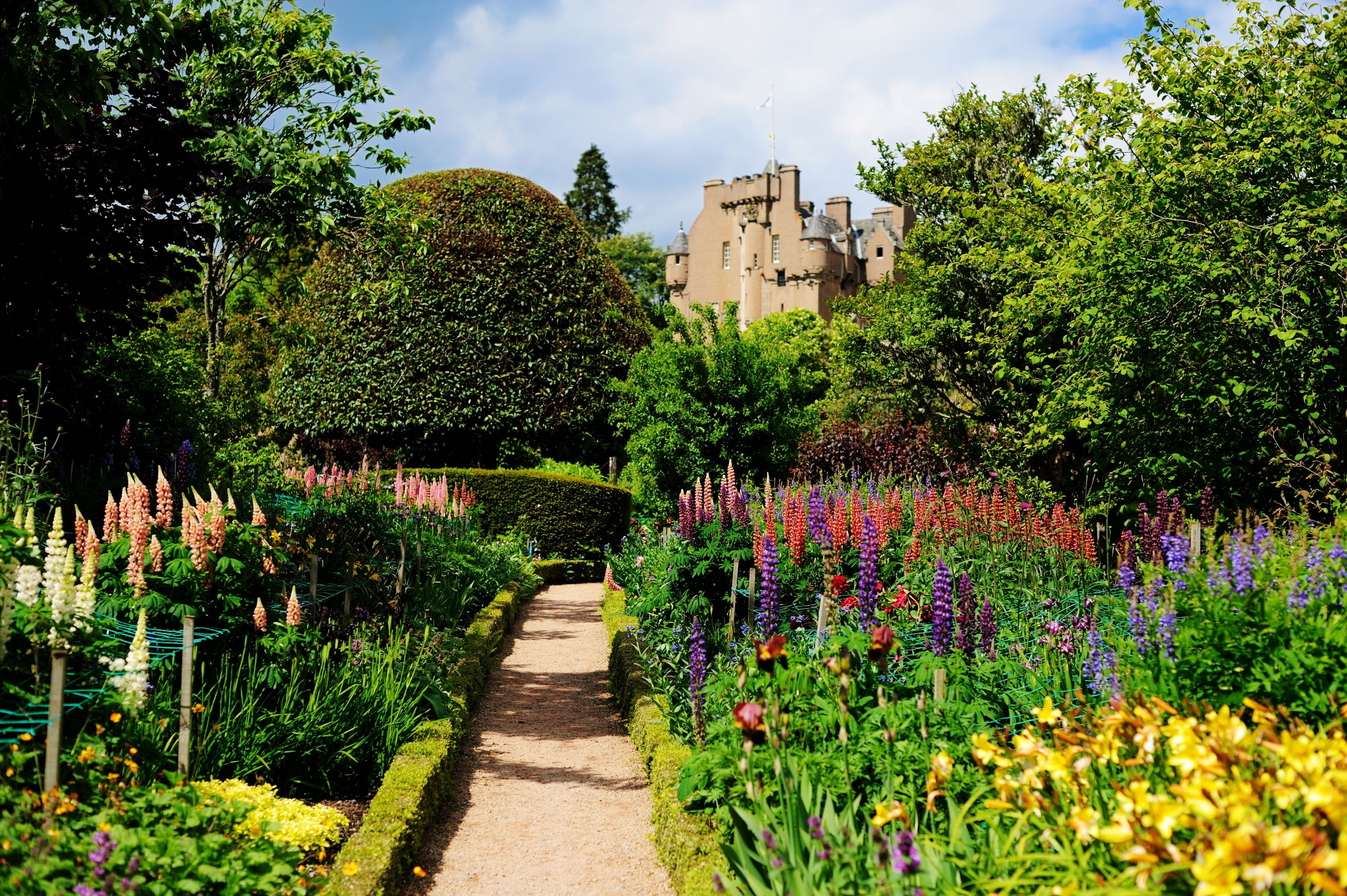 tourhub | Brightwater Holidays | Scotland: Historic Houses of Aberdeenshire 4647 