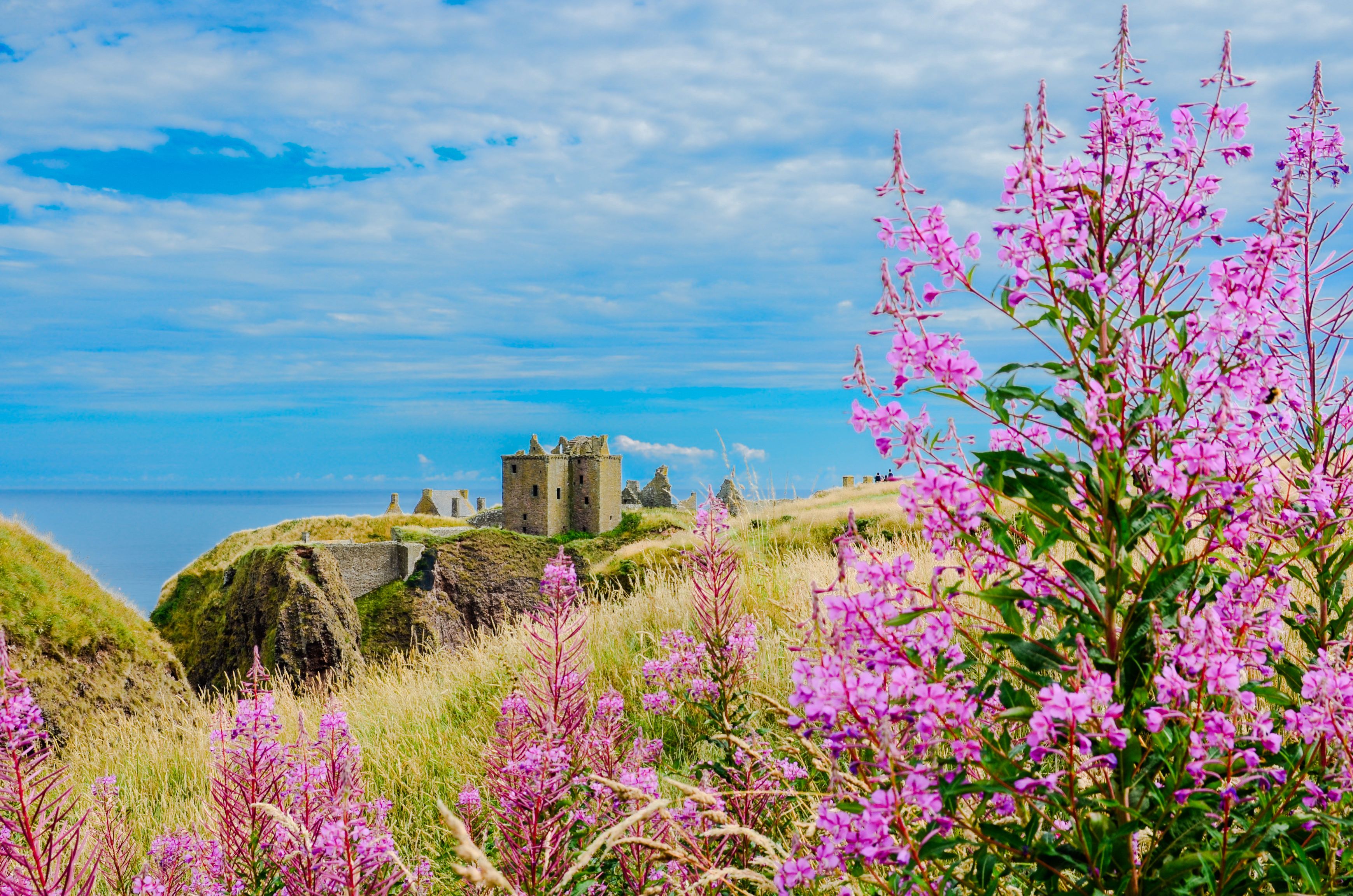 tourhub | Brightwater Holidays | Scotland: An Archaeologist's View of Orkney and Shetland 765 