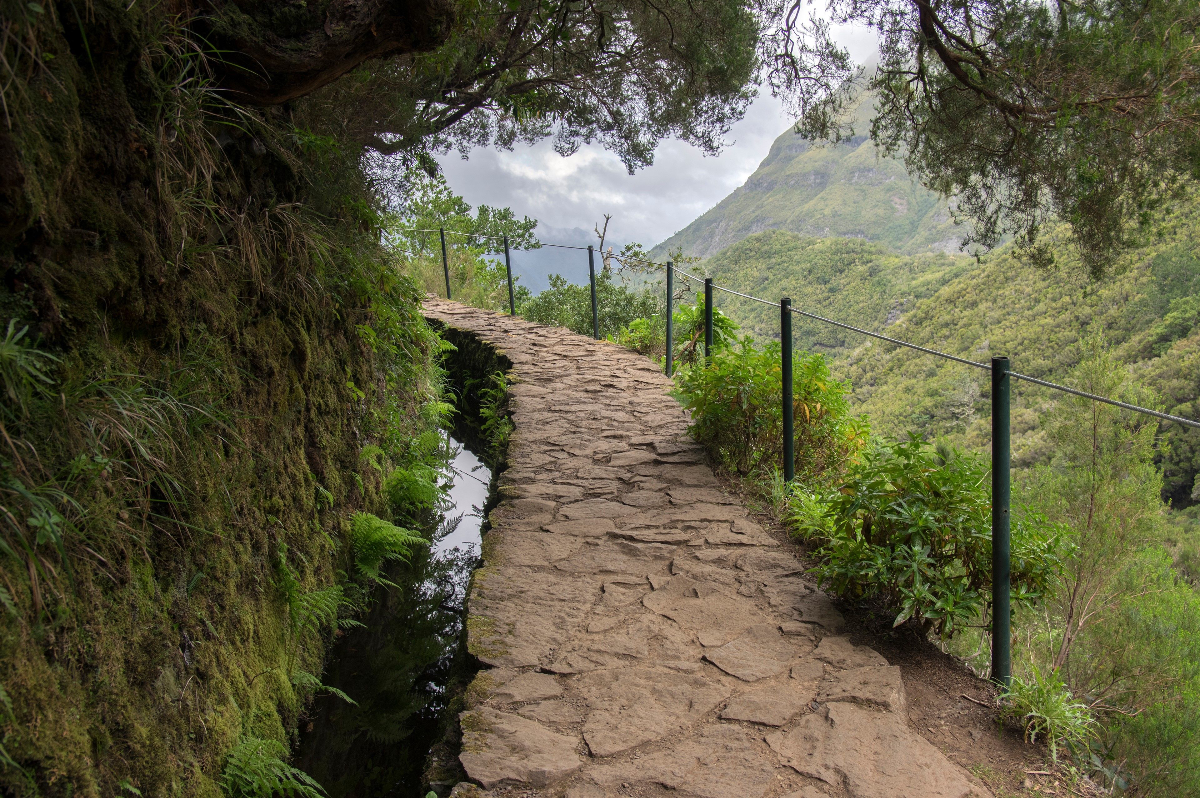 tourhub | Brightwater Holidays | Gardens of Madeira 733 