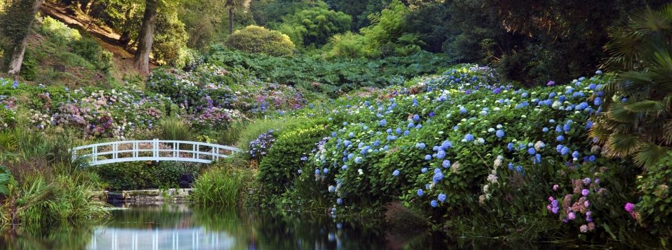 trebah-gardens