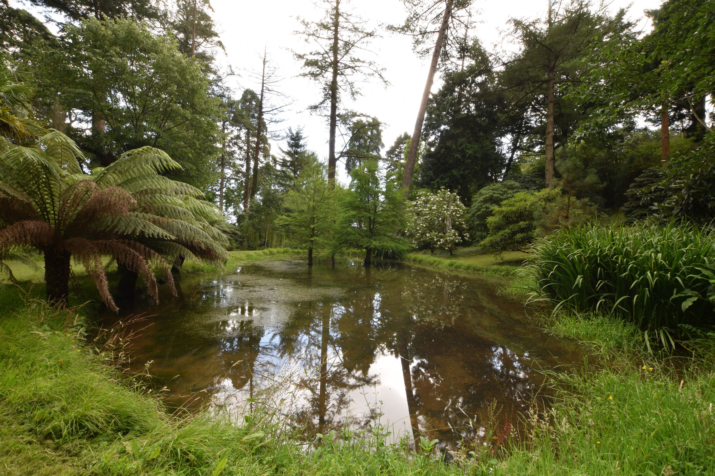 tourhub | Brightwater Holidays | England: Summer Gardens of Cornwall 5214 