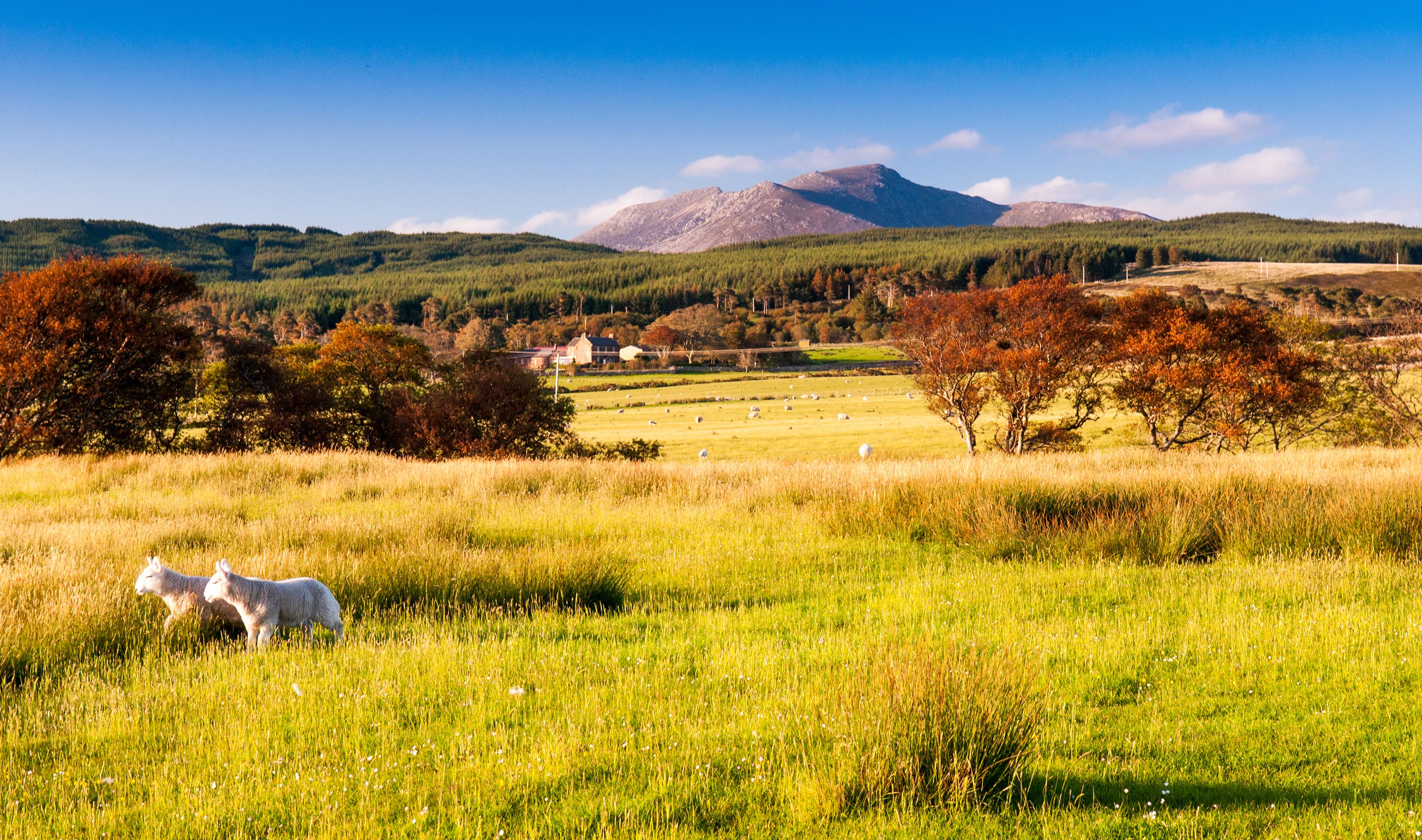 tourhub | Brightwater Holidays | Scotland: Autumn Tints of Arran 5912 