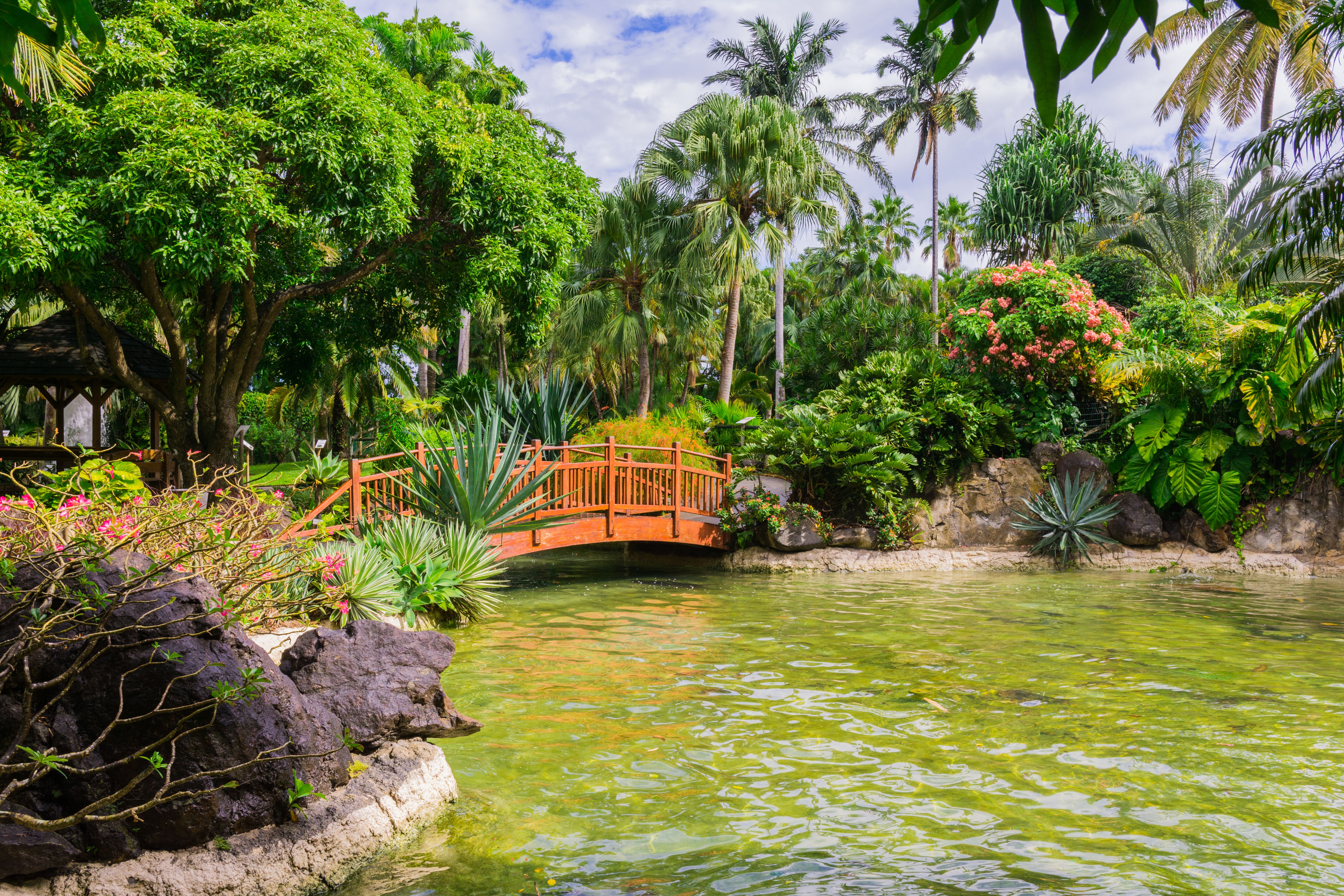 Gardens of Guadeloupe: Life in Paradise