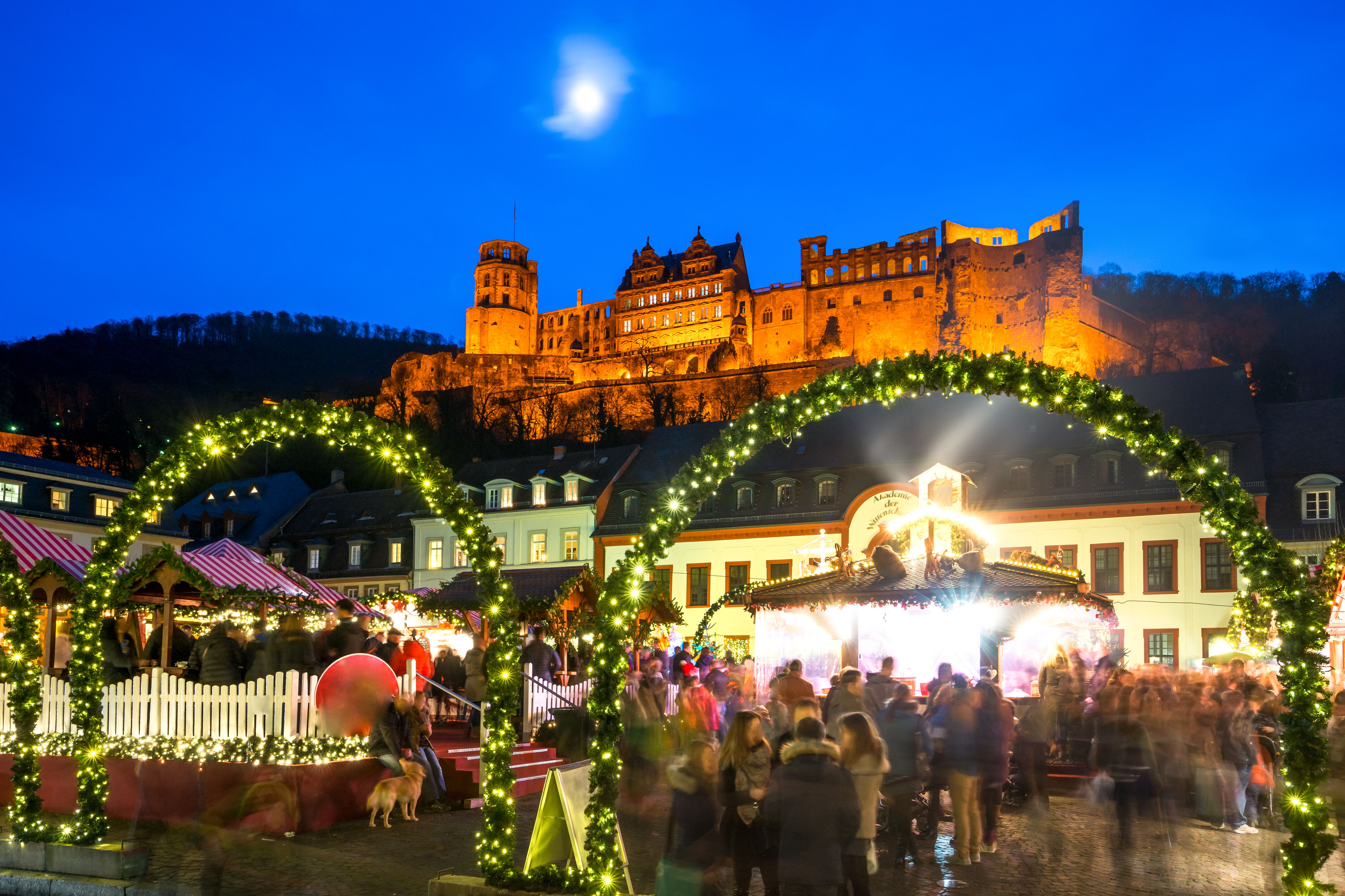 Christmas Markets on the Rhine