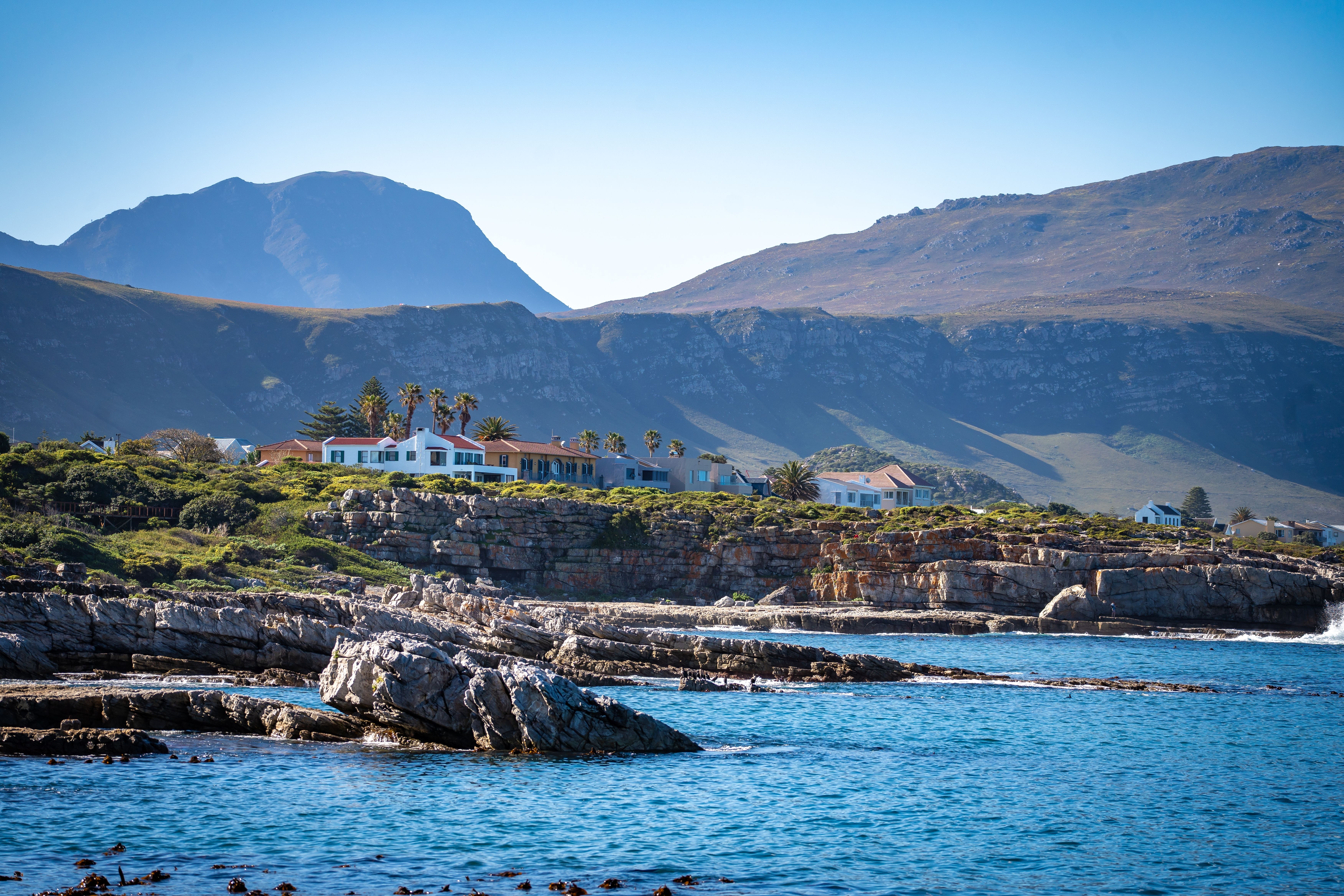 tourhub | Brightwater Holidays | Spring Flowers of Namaqualand 7951 