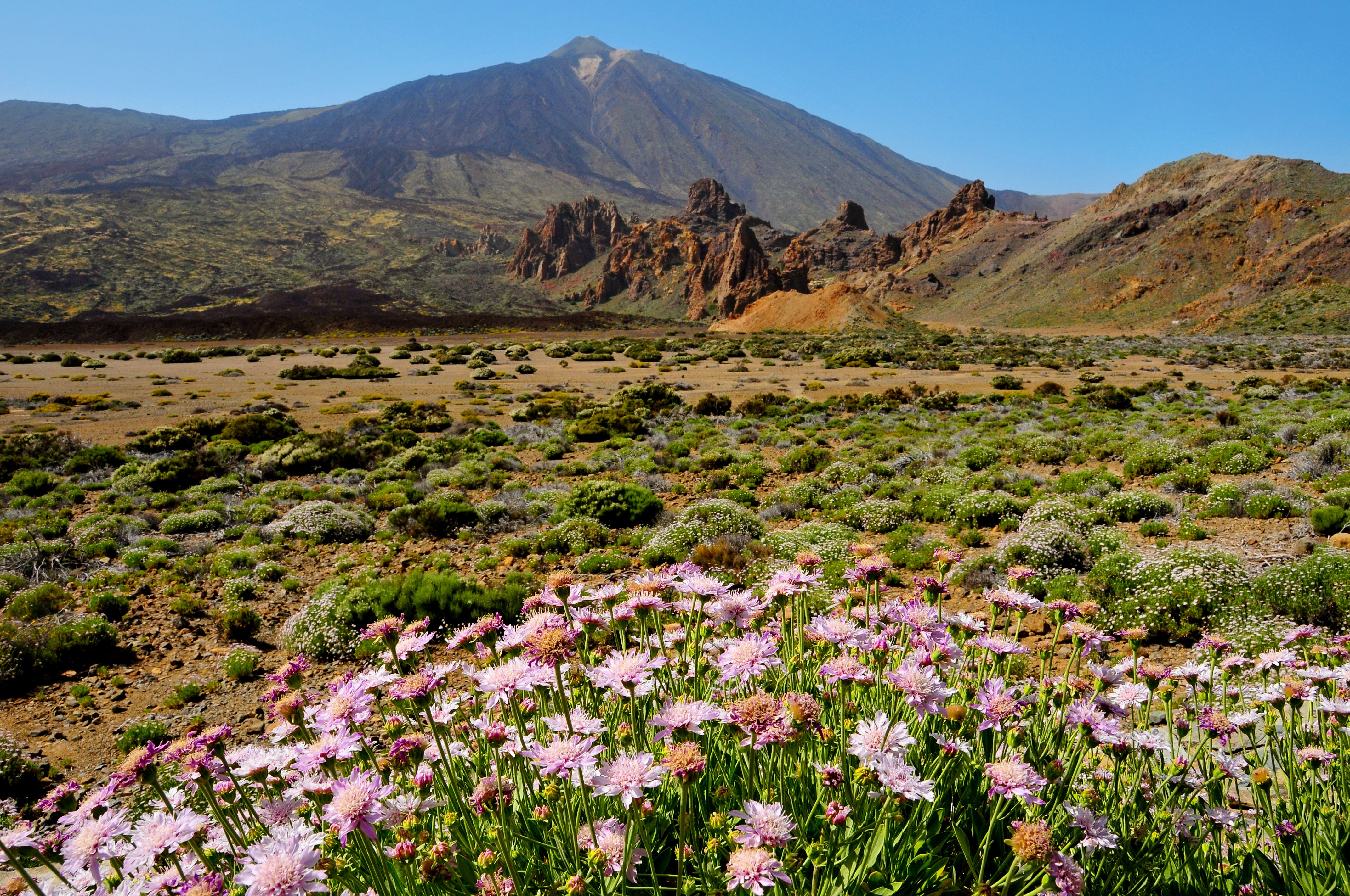 tourhub | Brightwater Holidays | Glorious Gardens of the Canary Islands 715 