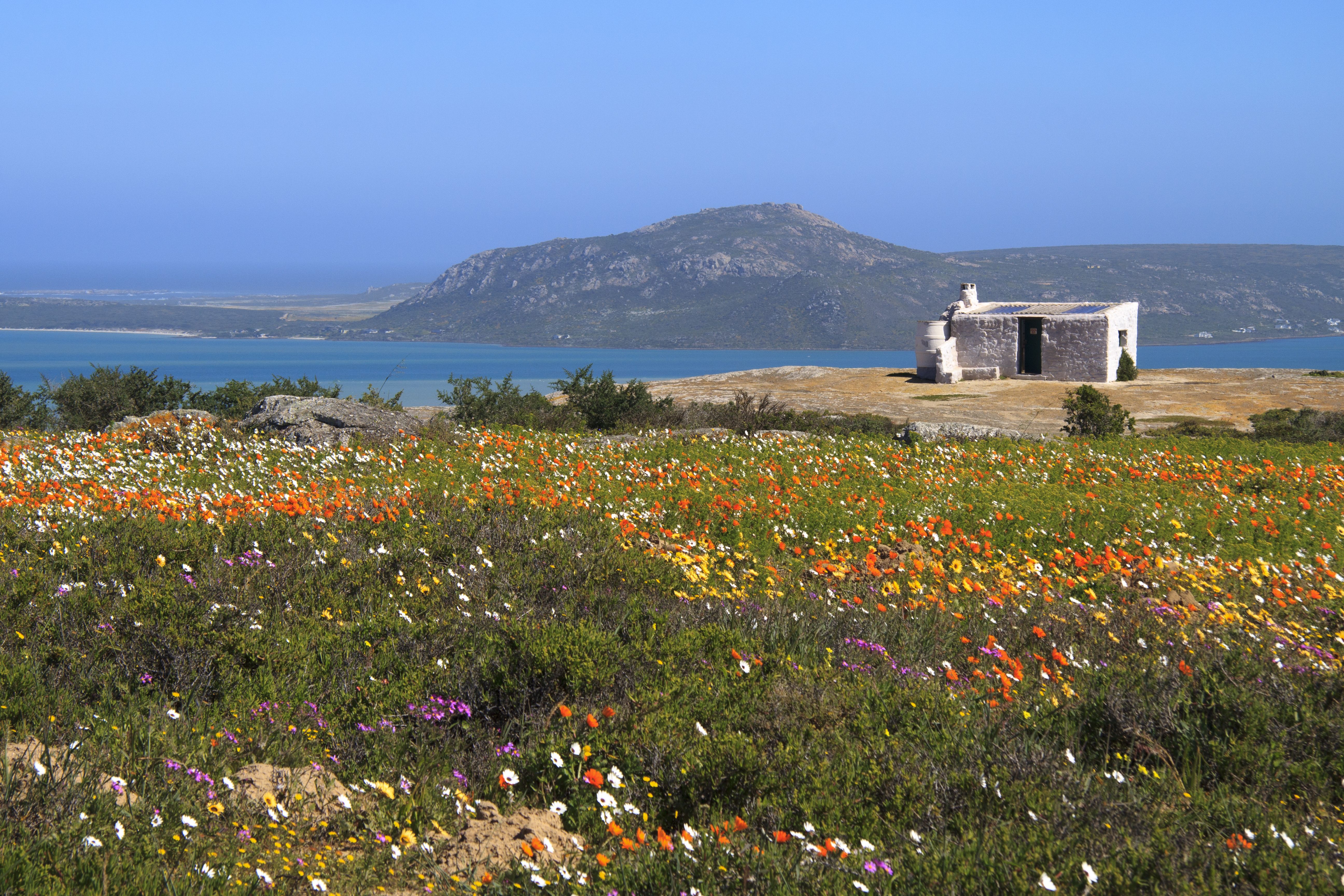 tourhub | Brightwater Holidays | Spring Flowers of Namaqualand 7951 