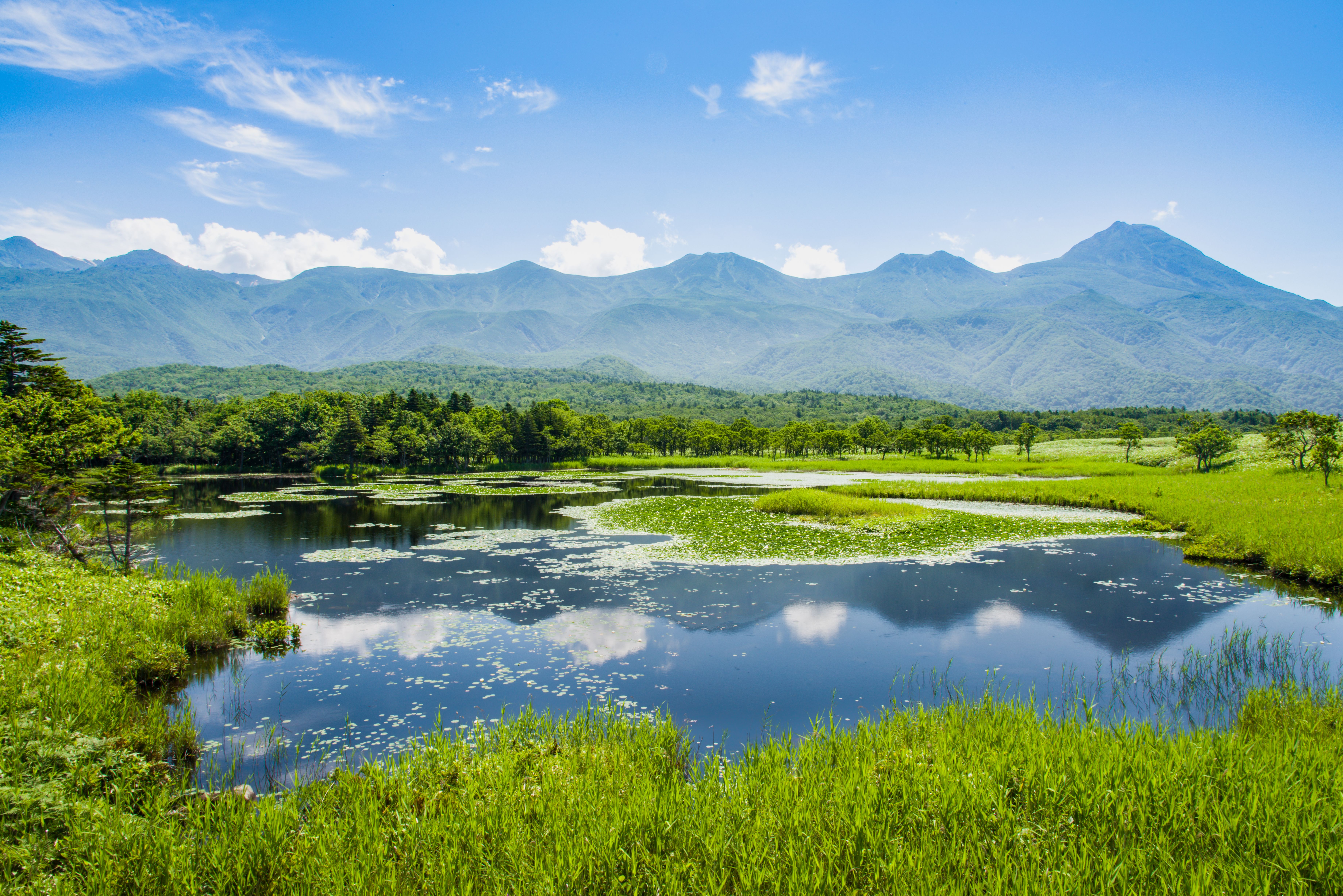 tourhub | Brightwater Holidays | Gardens of Honshu and Hokkaido 7955 