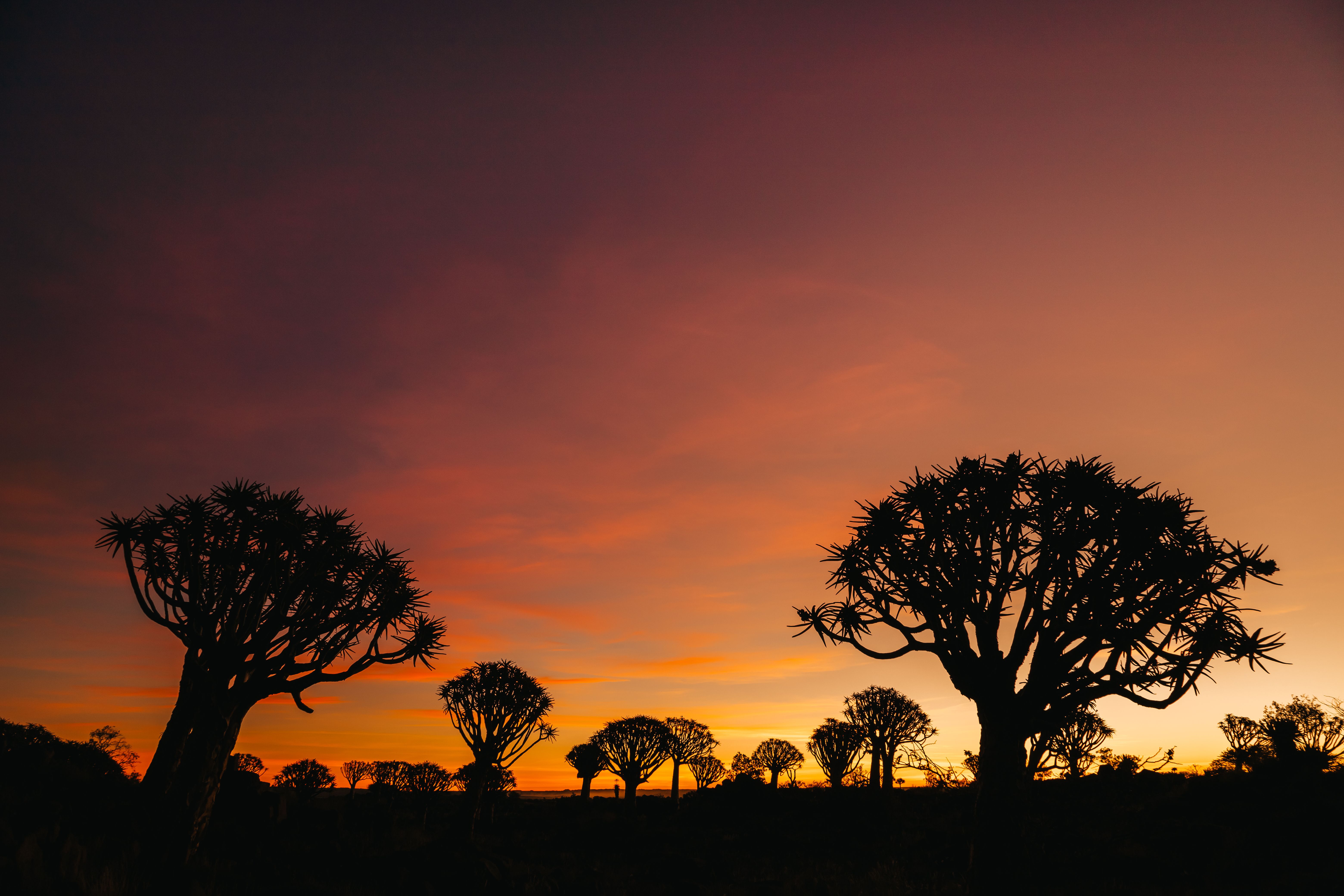 tourhub | Brightwater Holidays | Spring Flowers of Namaqualand 7951 