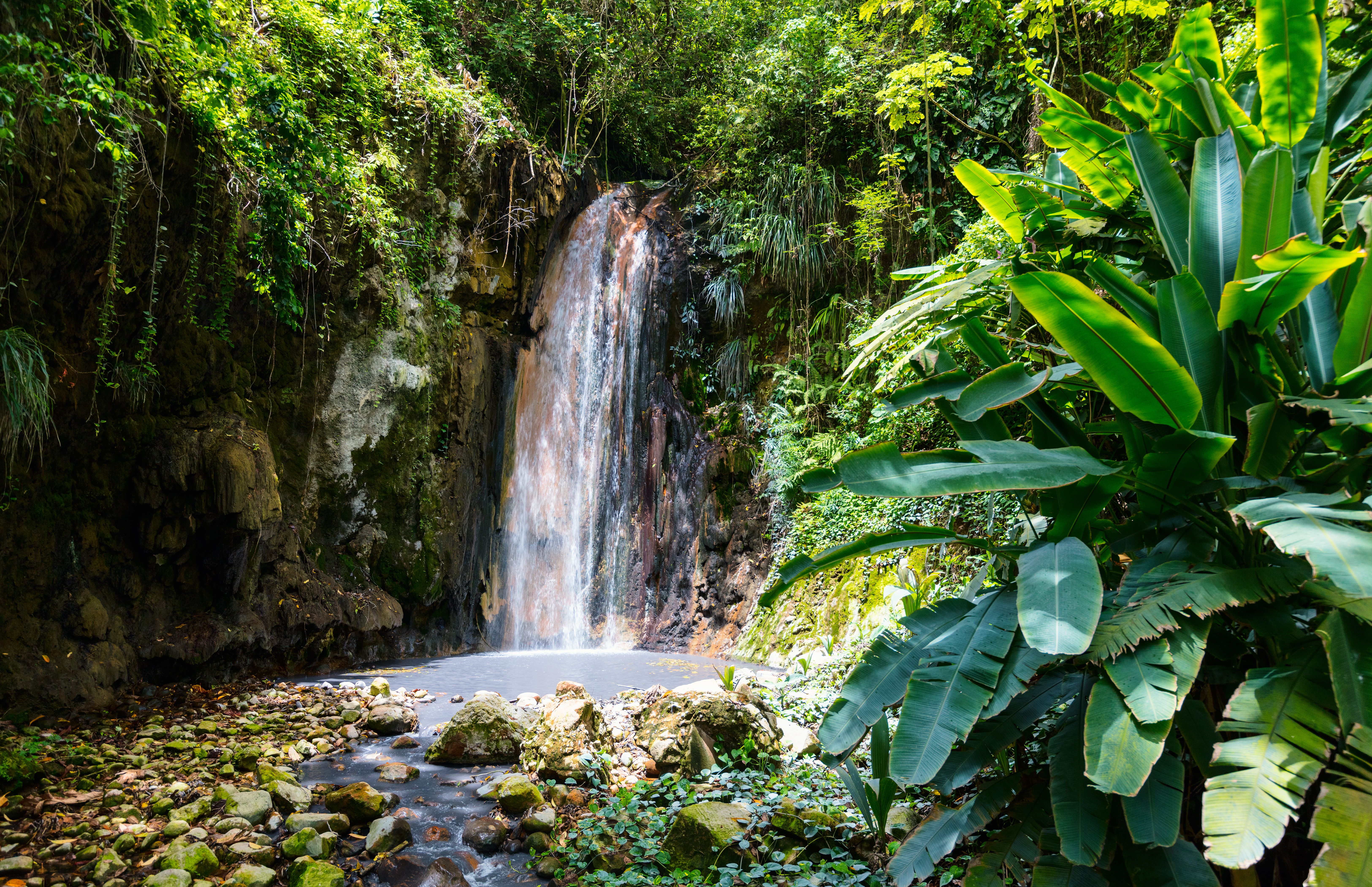 tourhub | Brightwater Holidays | Gardens of St Lucia 8168 