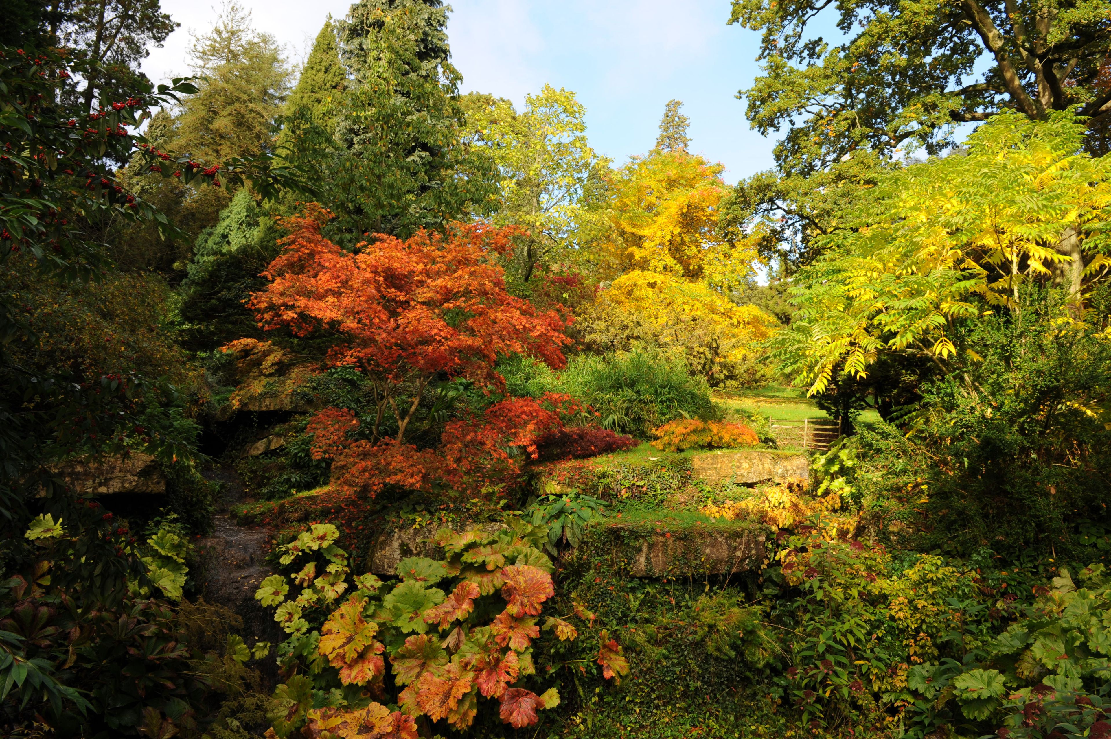 England: Highgrove and Autumn Tints of the Cotswolds