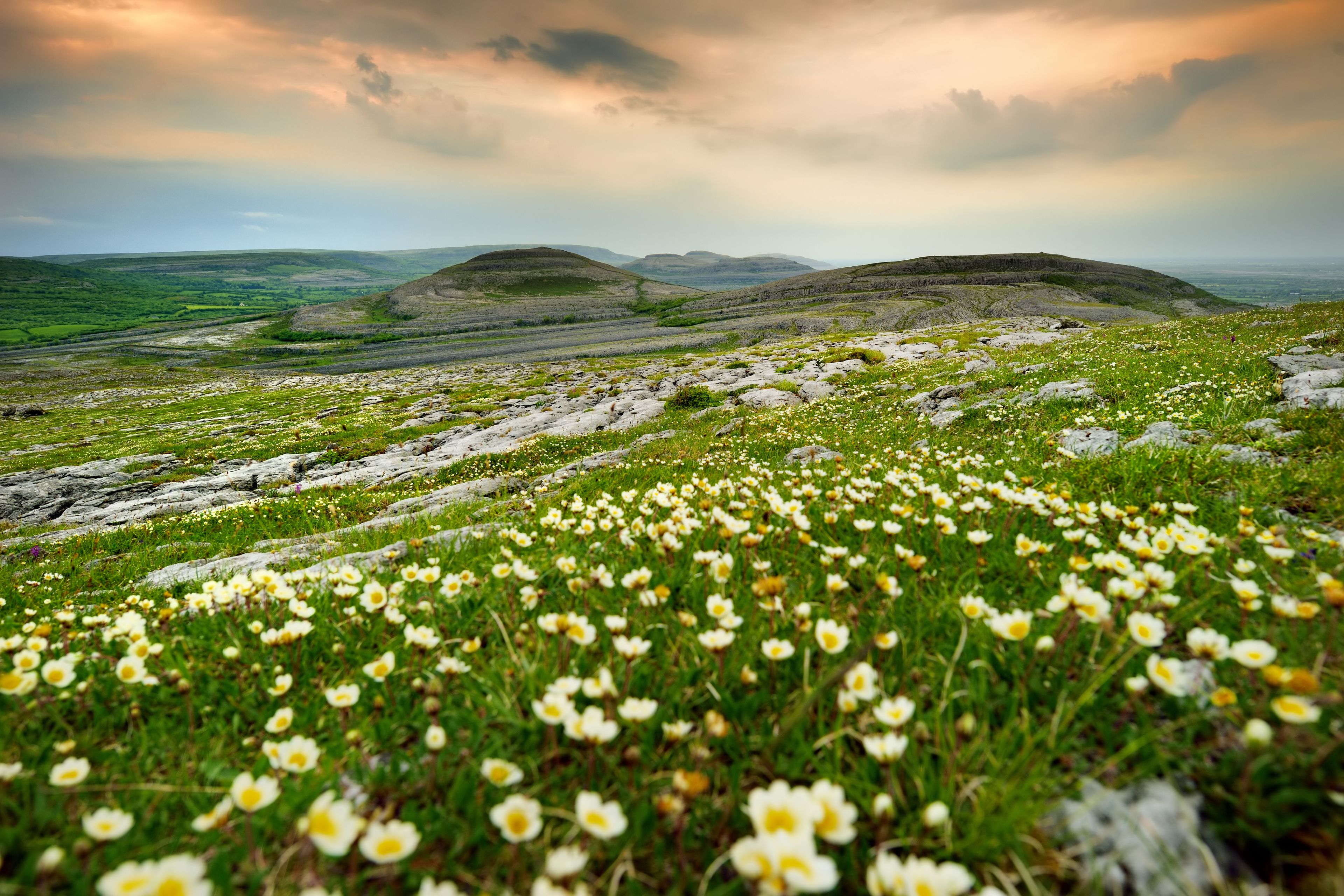 tourhub | Brightwater Holidays | Gardens and Wildflowers of the Burren 5924 