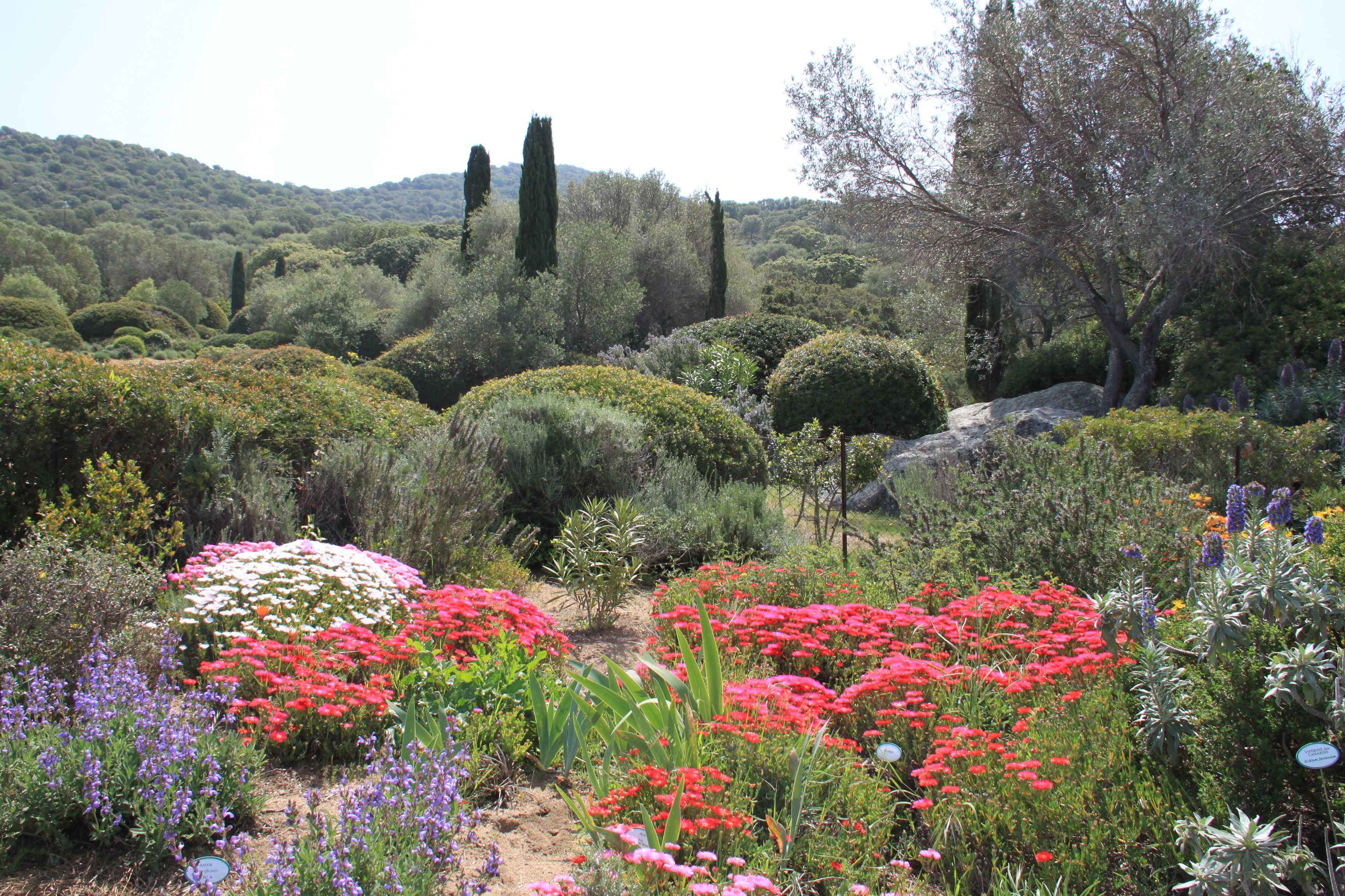 tourhub | Brightwater Holidays | History and Horticulture in Corsica 9311 