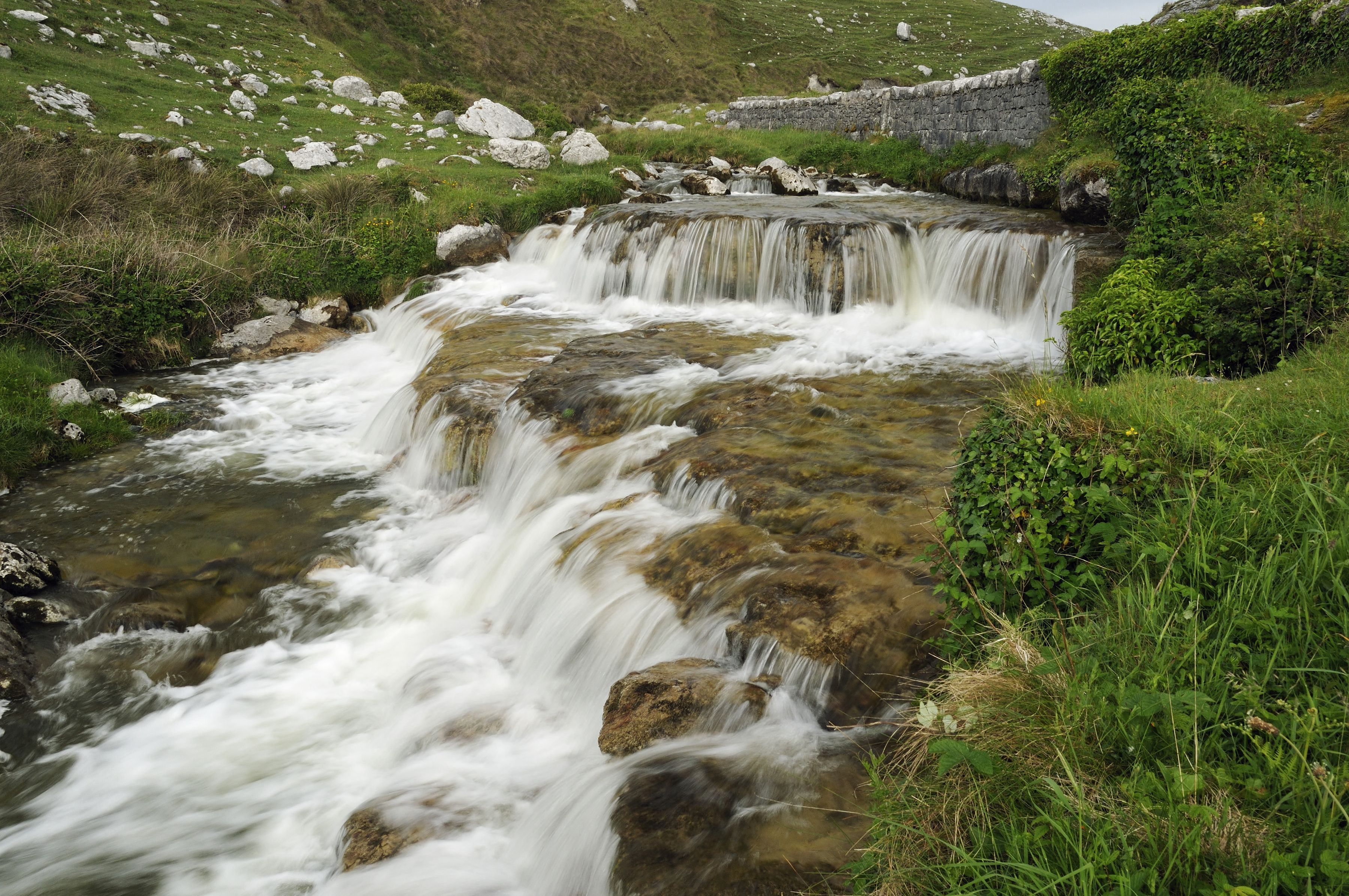 tourhub | Brightwater Holidays | Gardens and Wildflowers of the Burren 5924 