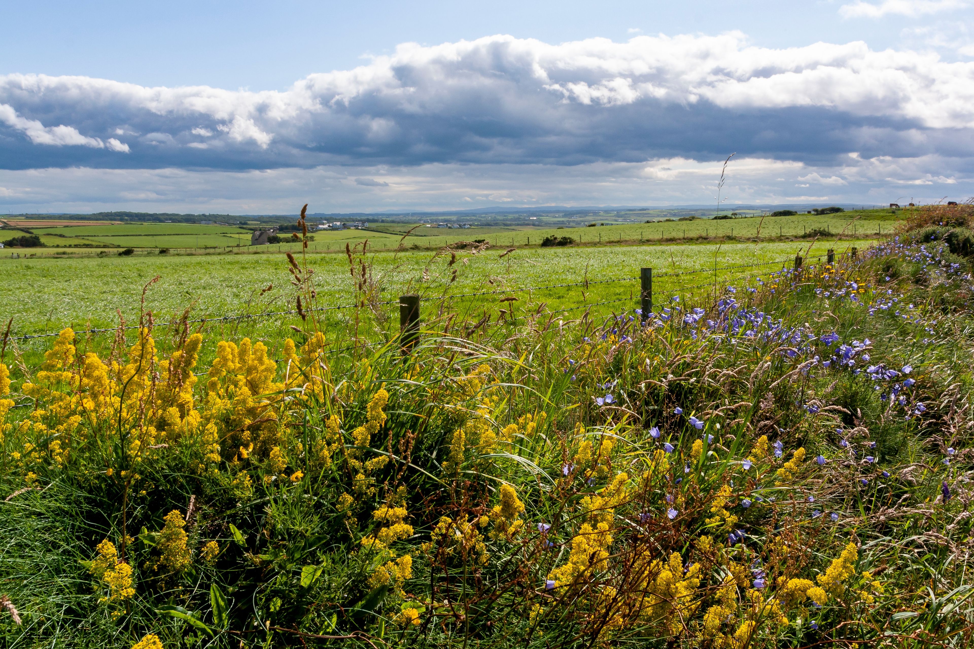 tourhub | Brightwater Holidays | Private Gardens of Northern Ireland 12031 