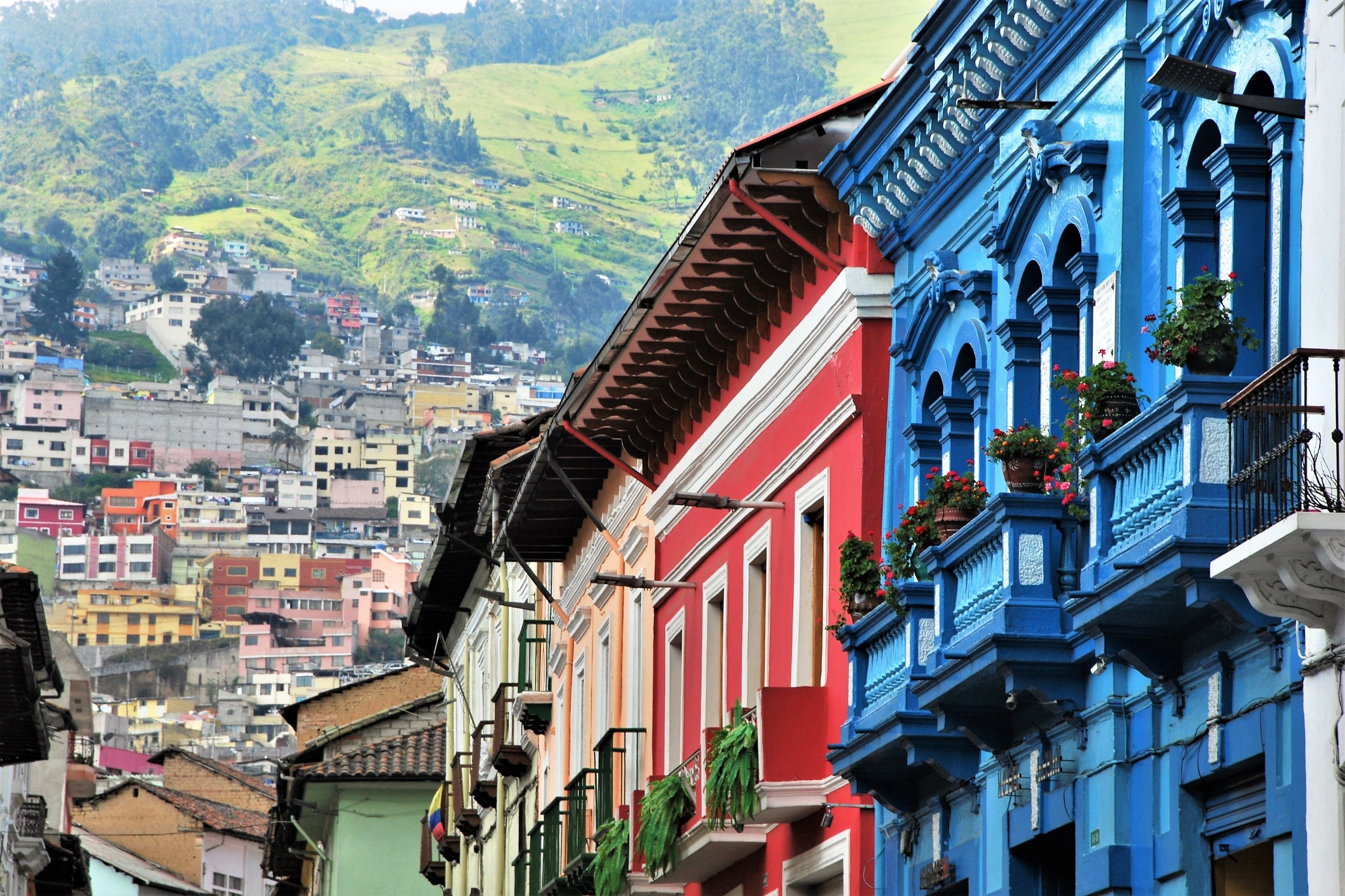 Ecuador: An Orchid Lover's Paradise