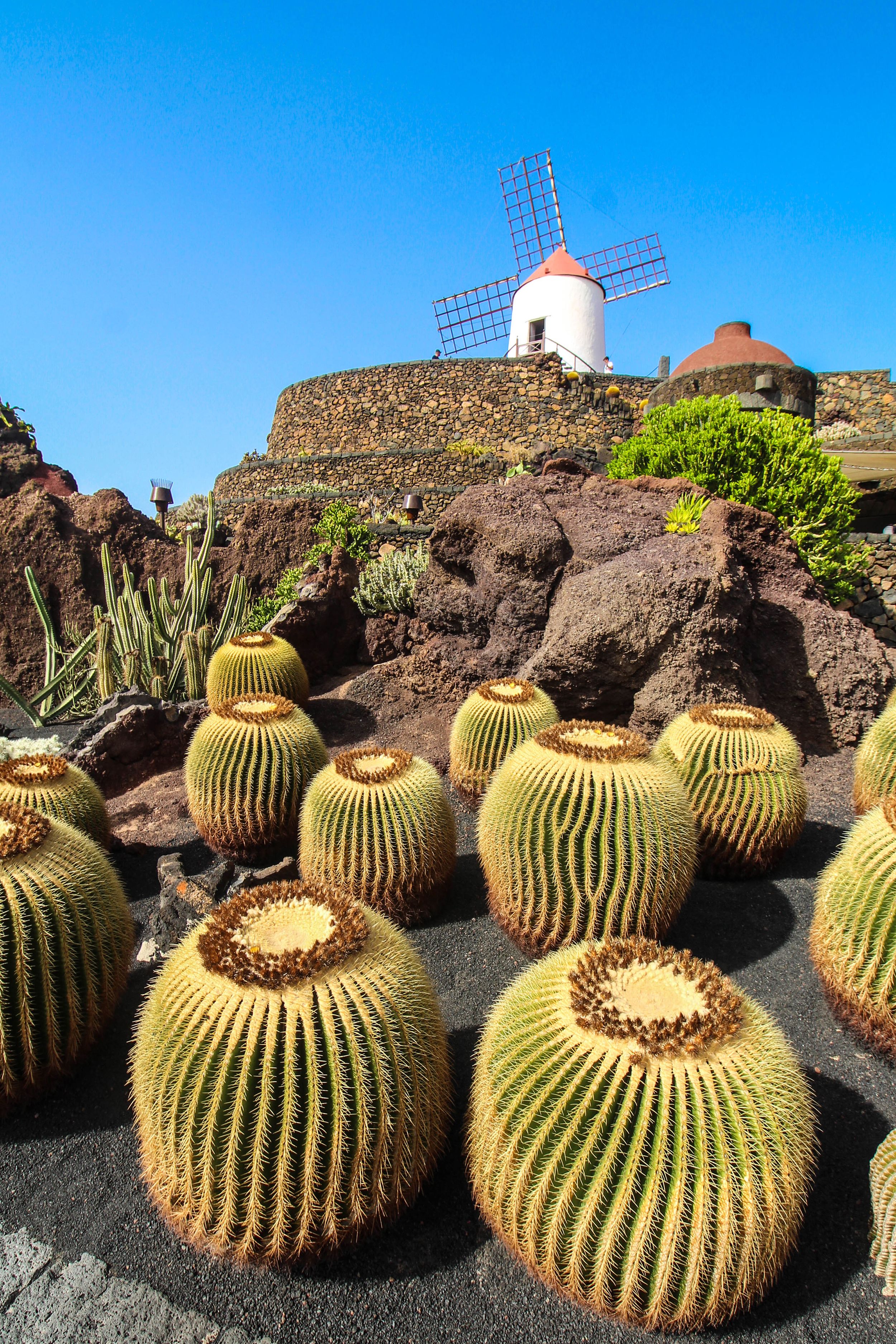 tourhub | Brightwater Holidays | Glorious Gardens of the Canary Islands 715 