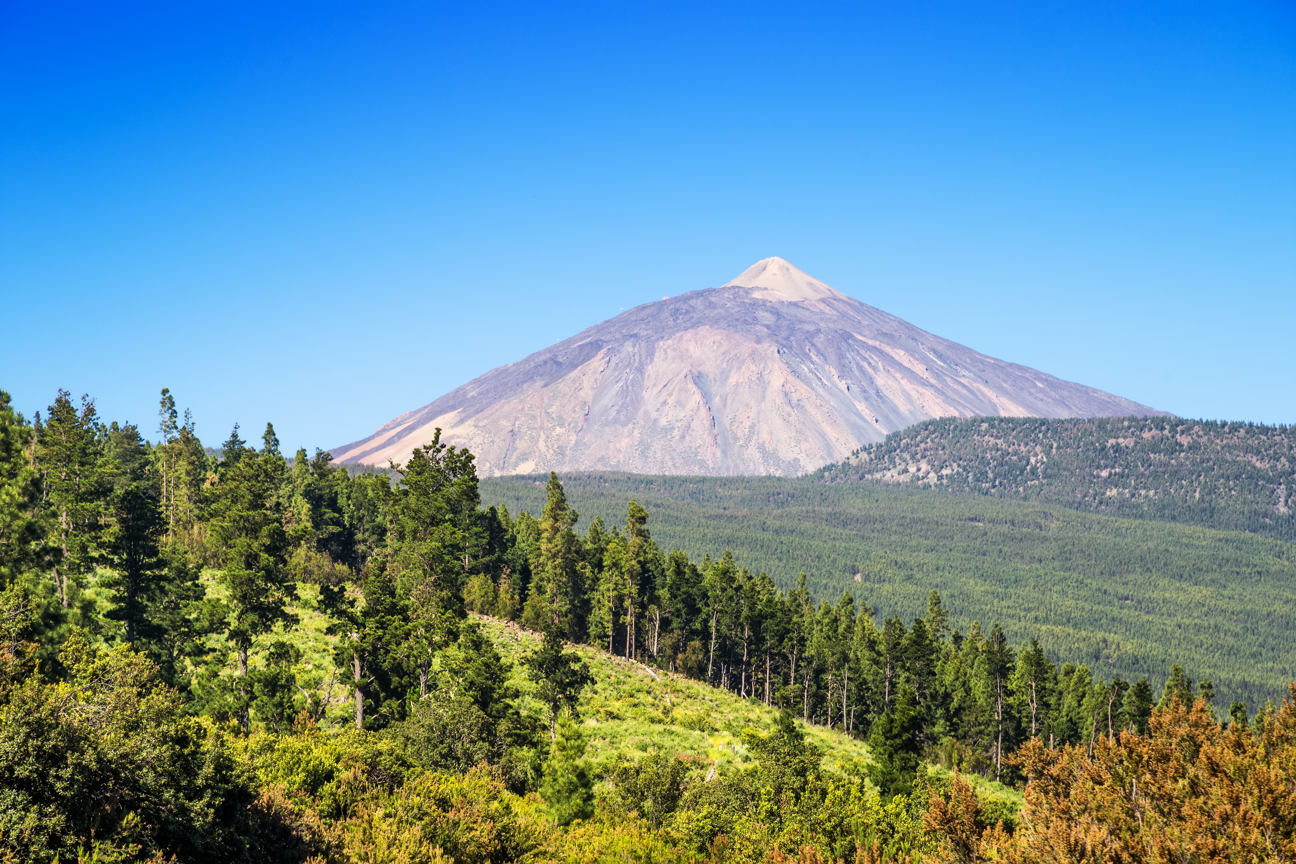 tourhub | Brightwater Holidays | Glorious Gardens of the Canary Islands 715 