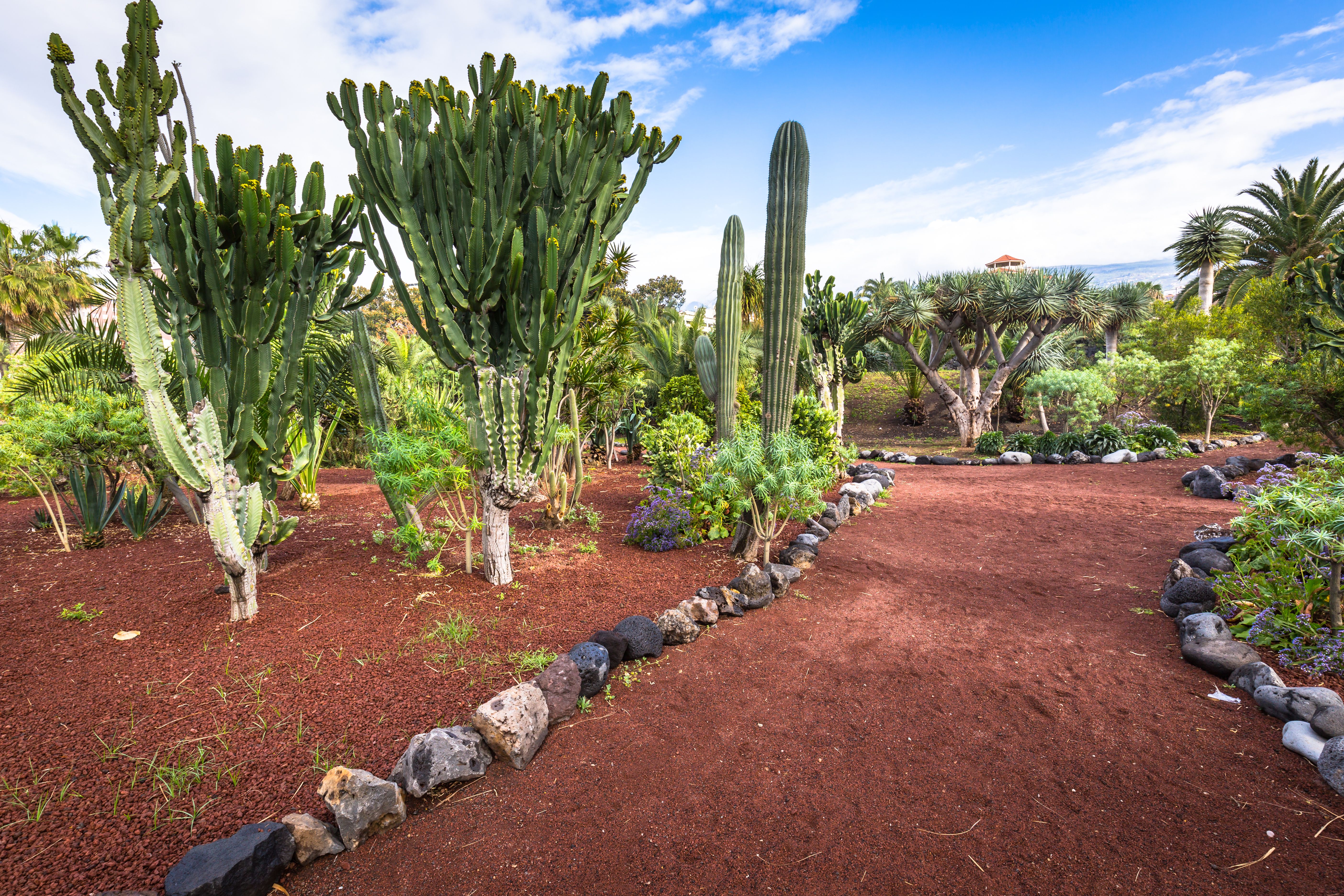 tourhub | Brightwater Holidays | Glorious Gardens of the Canary Islands 715 