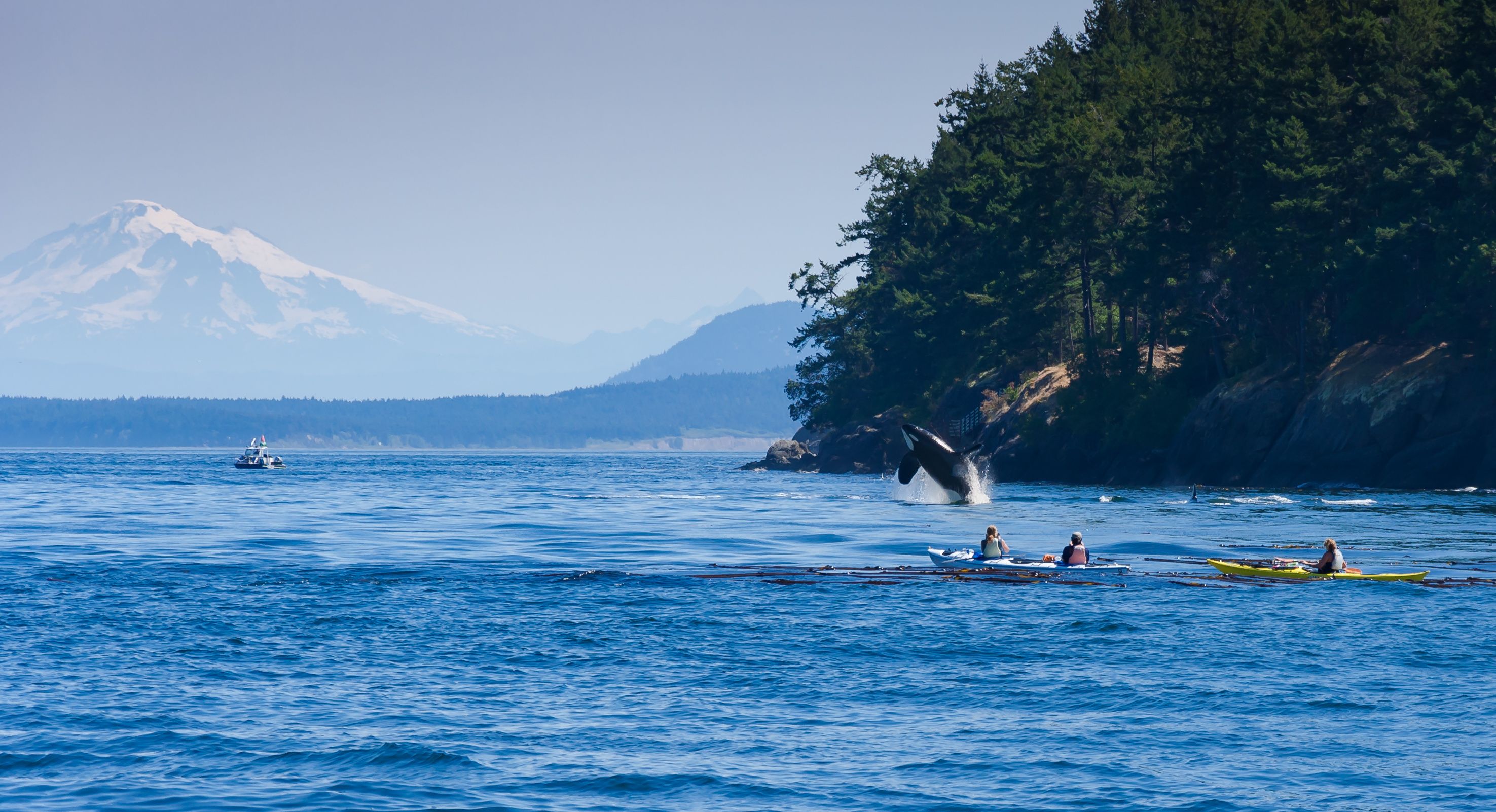 tourhub | Brightwater Holidays | Gardens and Wildlife of Western Canada 651 