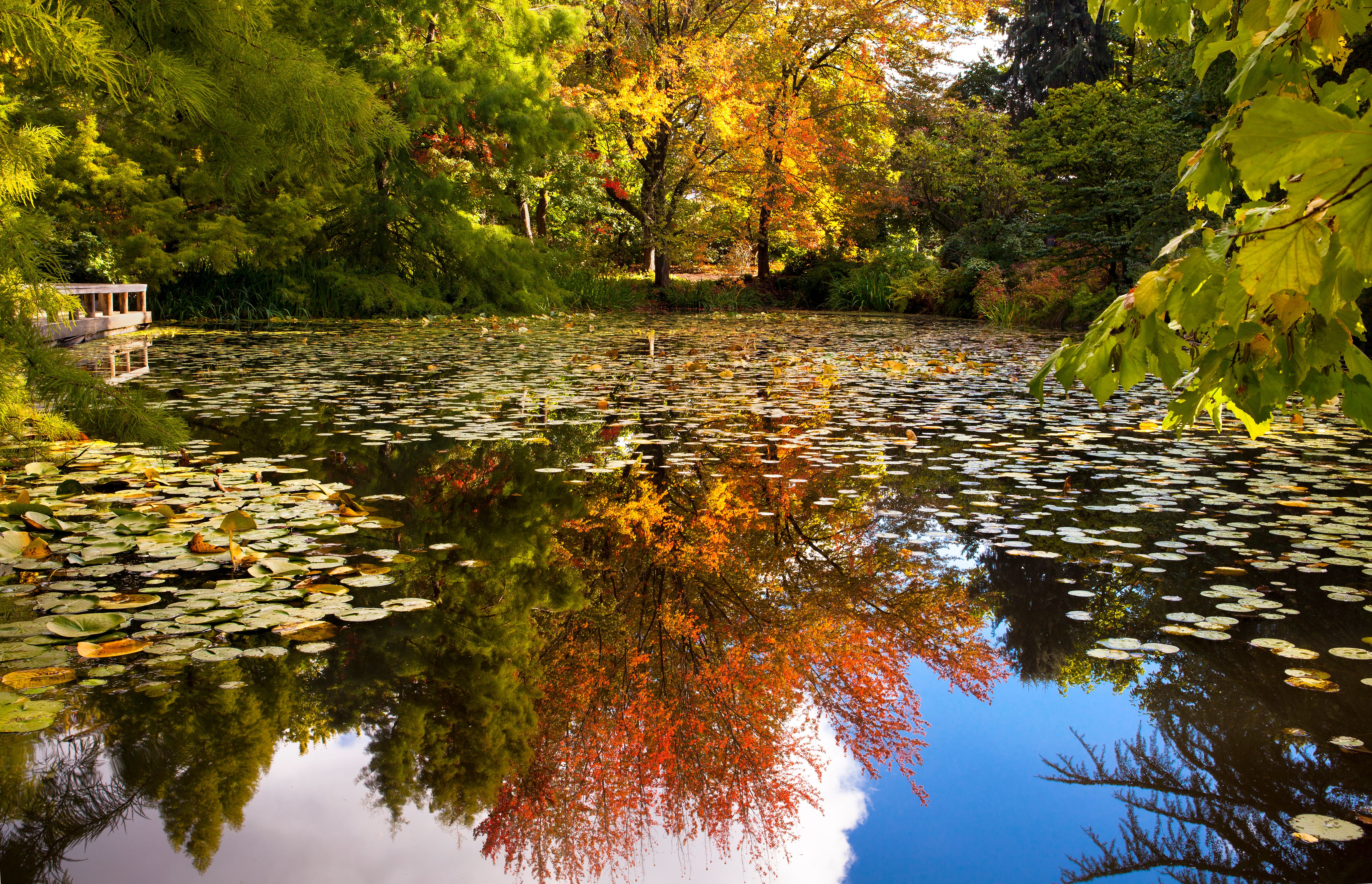 tourhub | Brightwater Holidays | Gardens and Wildlife of Western Canada 651 