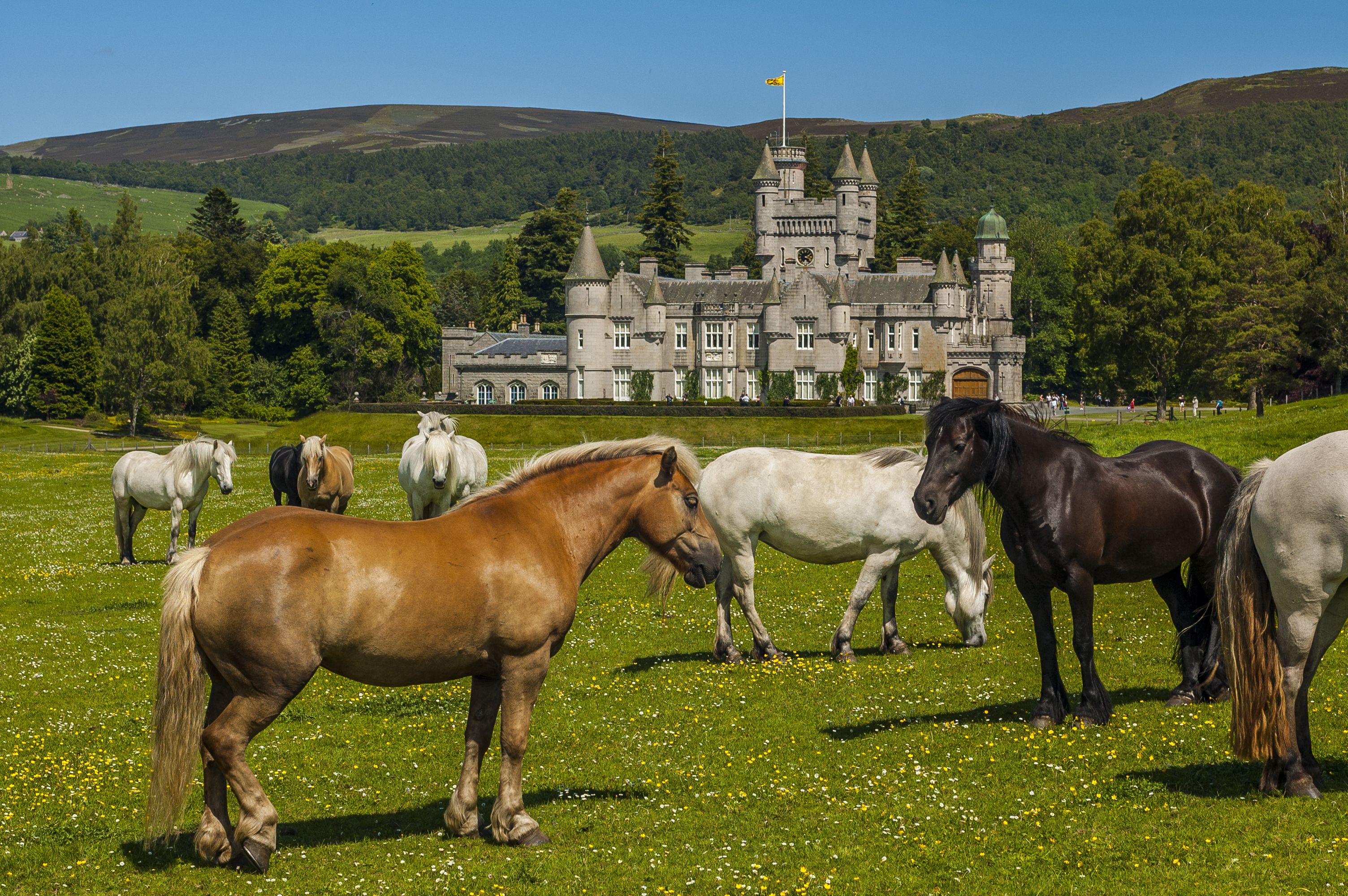 tourhub | Brightwater Holidays | Scotland: Historic Houses of Aberdeenshire 4647 