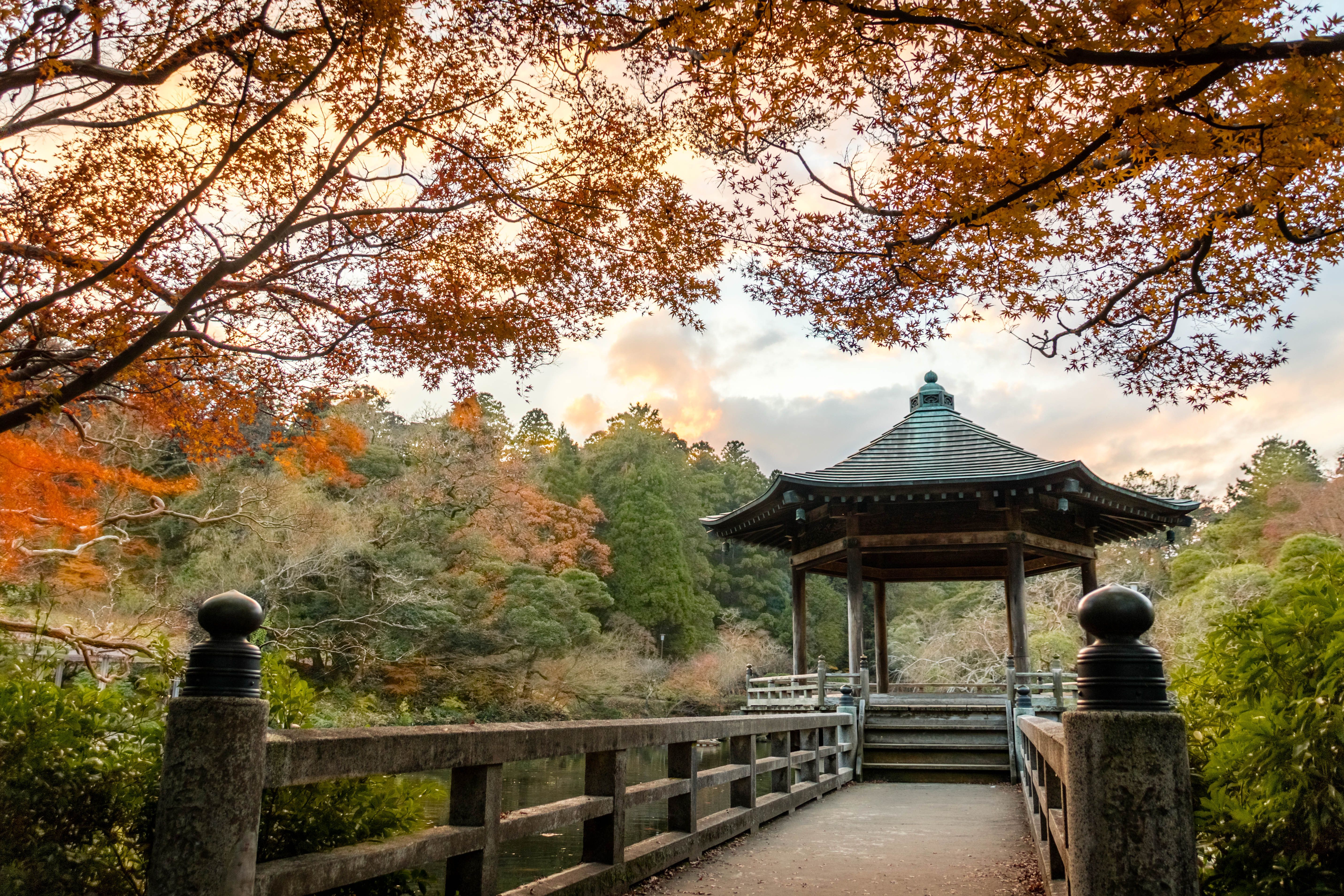 tourhub | Brightwater Holidays | Seasonal Gardens of Japan 665 