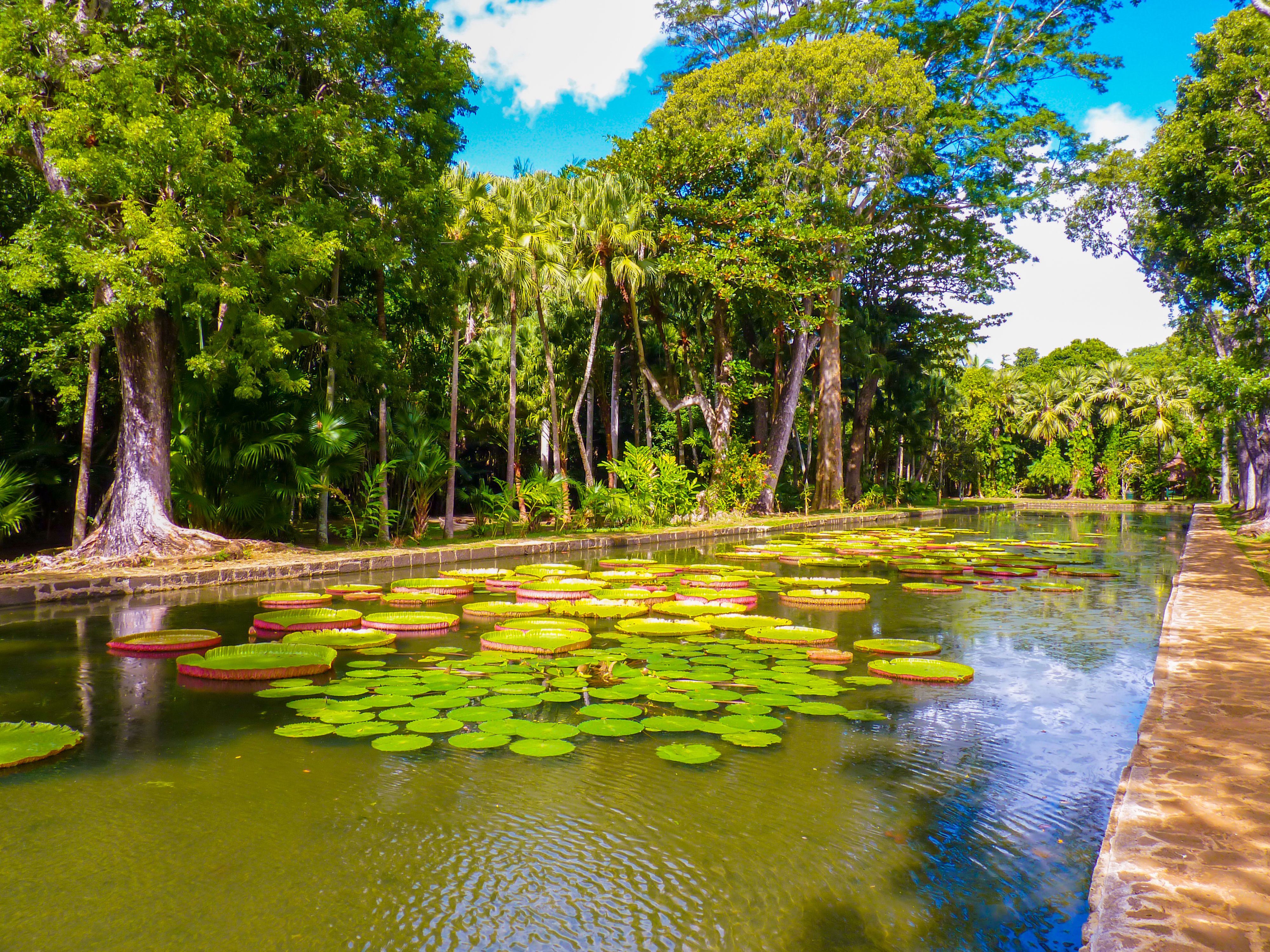 Gardens of Costa Rica - Brightwater US