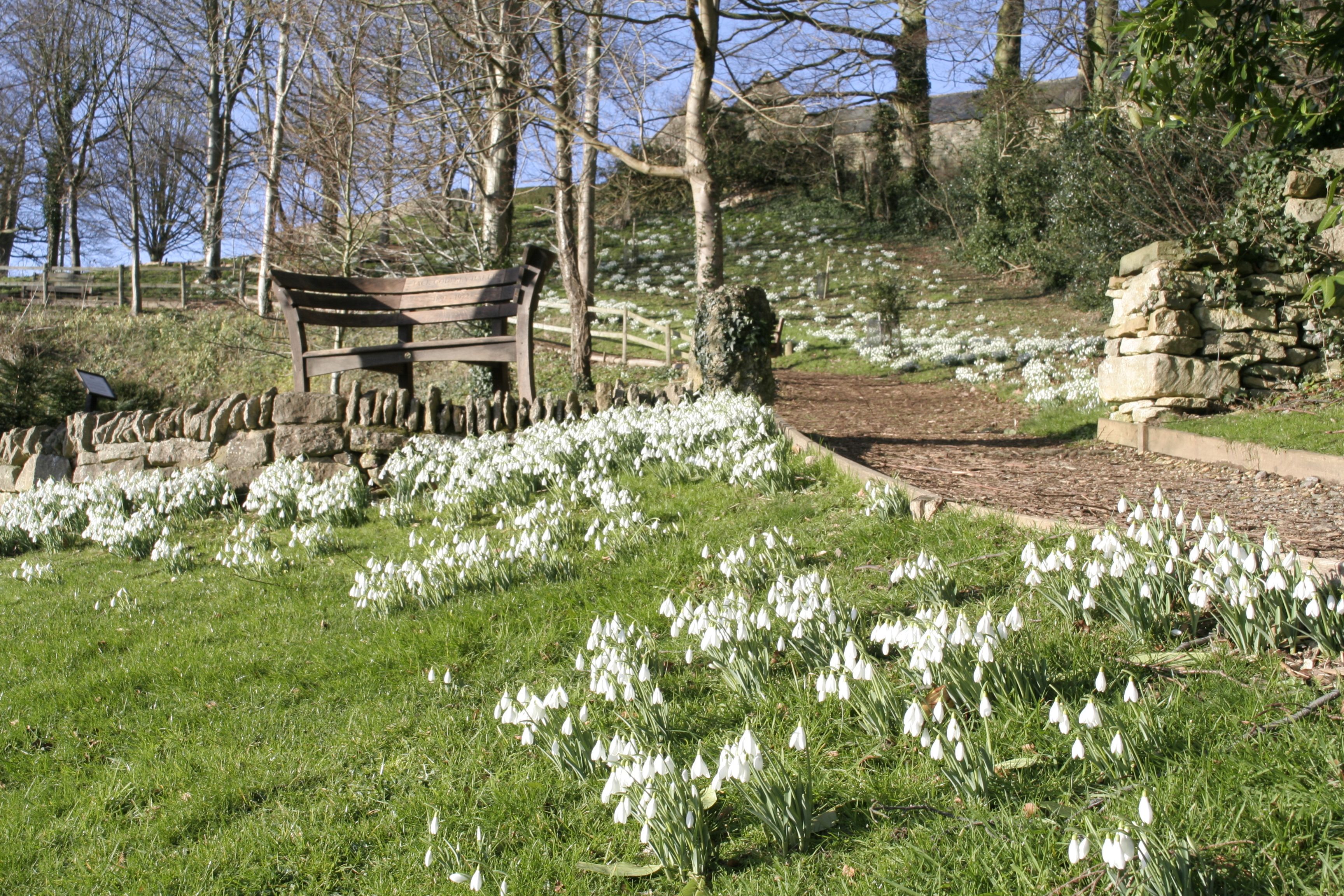 tourhub | Brightwater Holidays | Snowdrops in the Cotswolds 703 