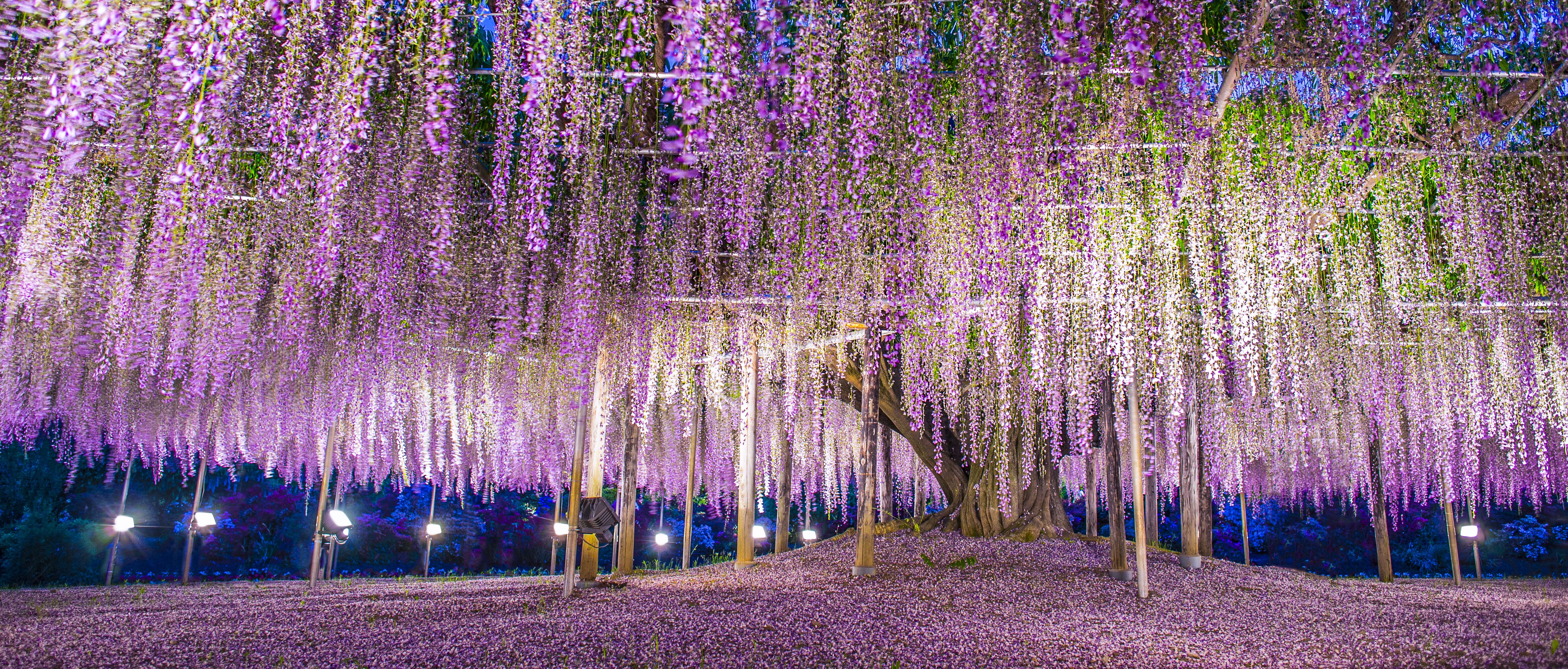 Gardens of Honshu and Hokkaido