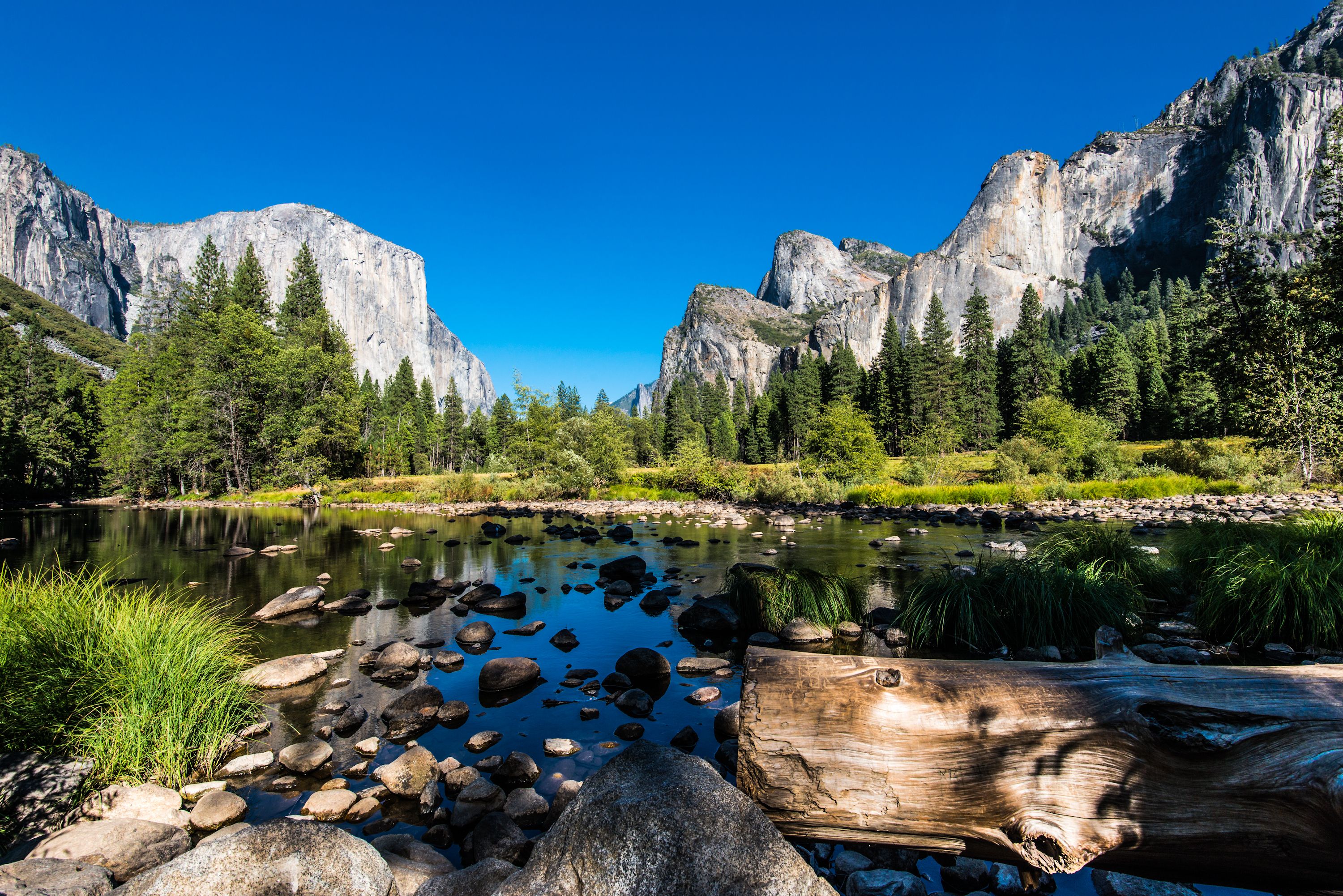 California - In the Footsteps of John Muir